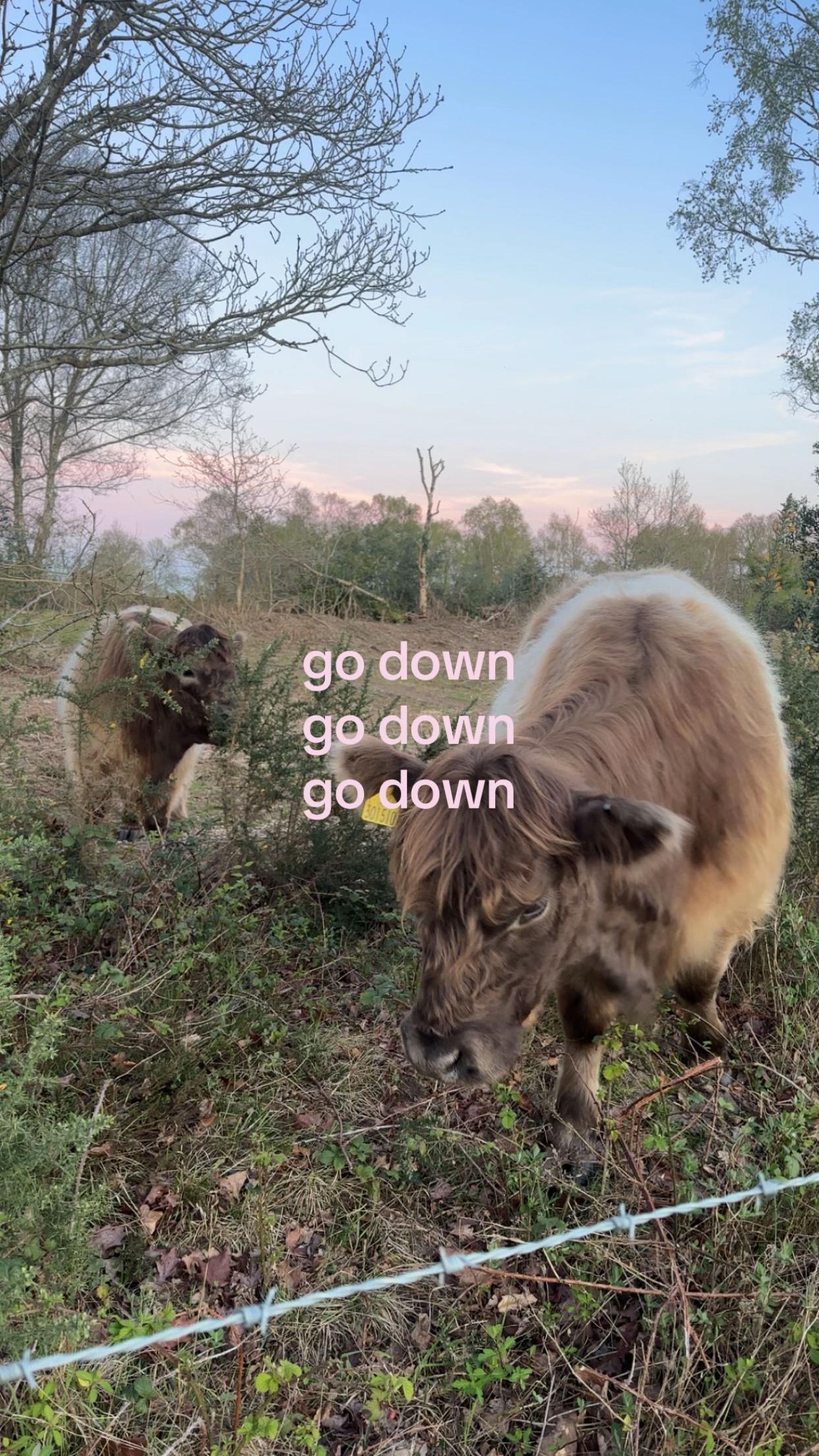 @𝓳𝓮𝓼𝓼 𝓱𝓮𝓻𝓶𝓲𝓸𝓷𝓮