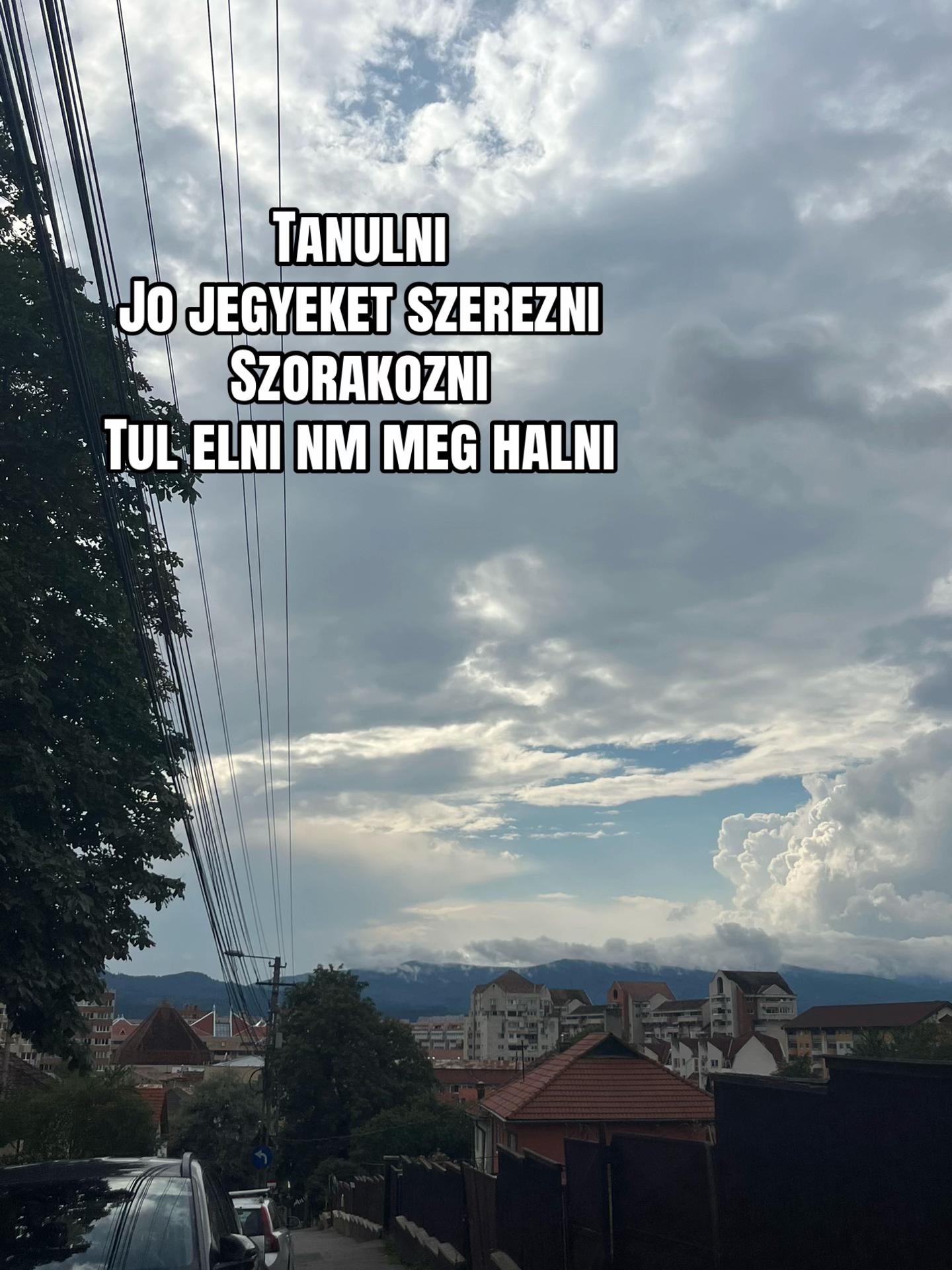 @Jazis❤️🔥🇹🇩