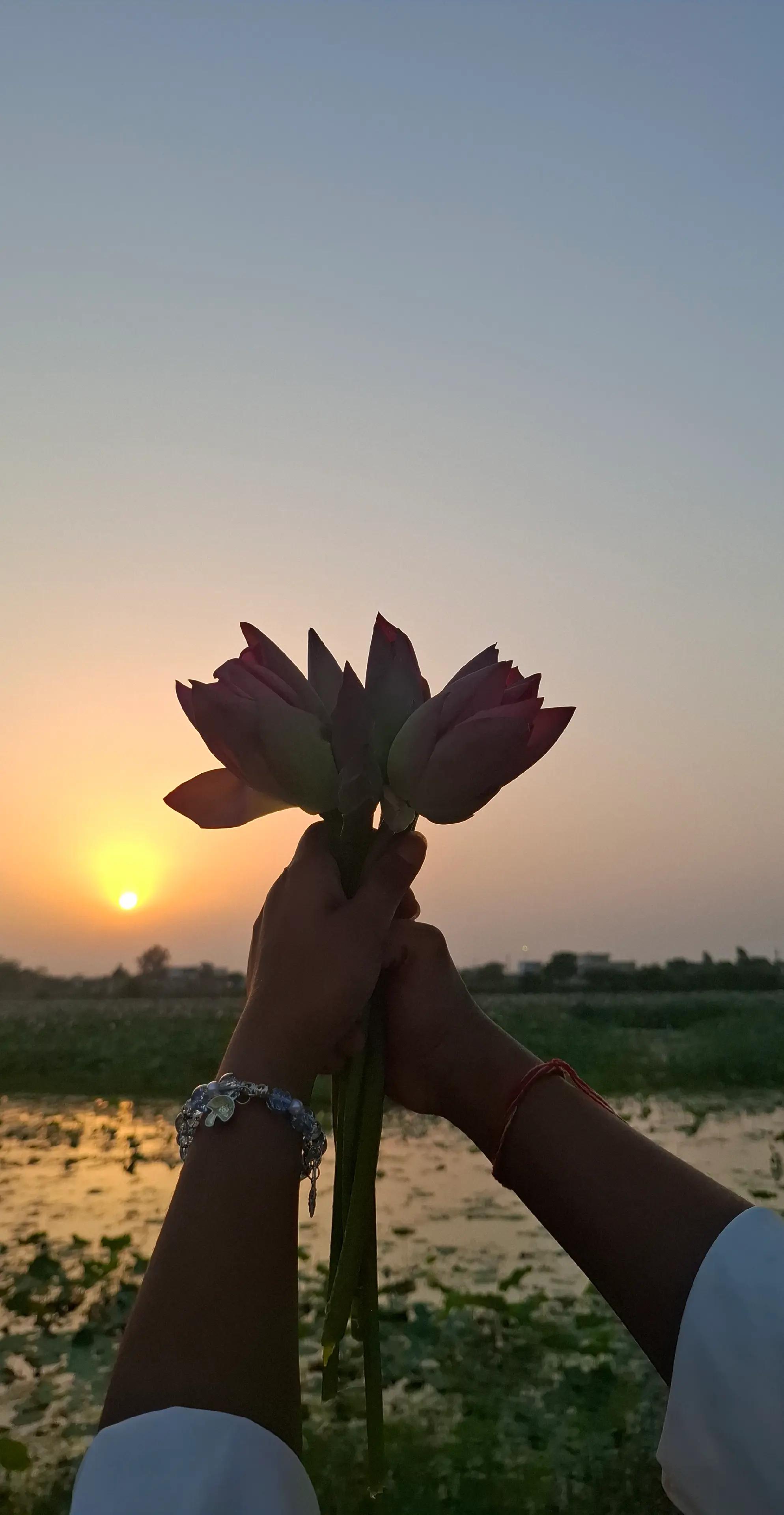 @Dakshine💫✨️