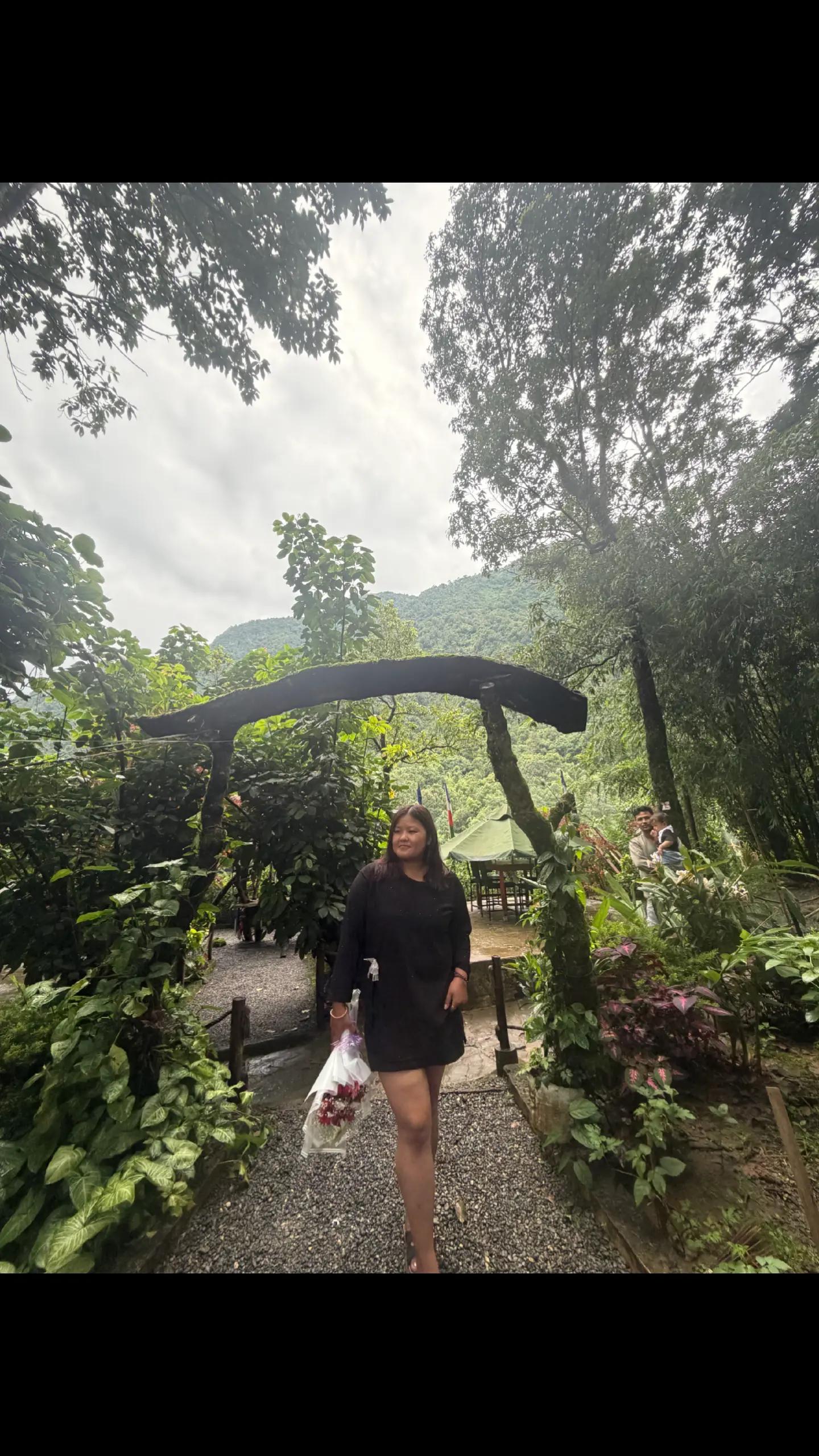 @momo🐼