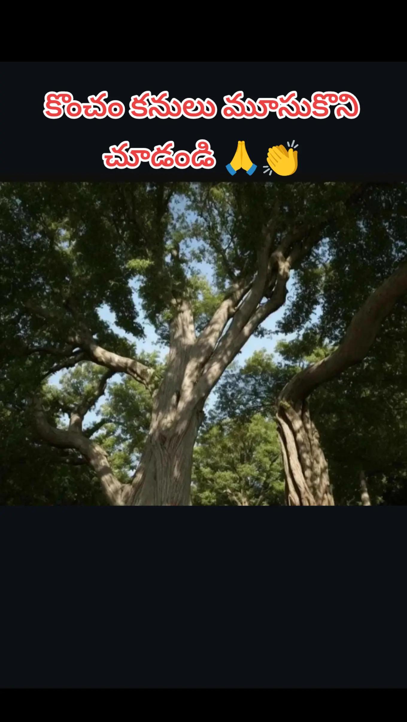 @జనసేన సైన్యం✅srikarbalejanasen