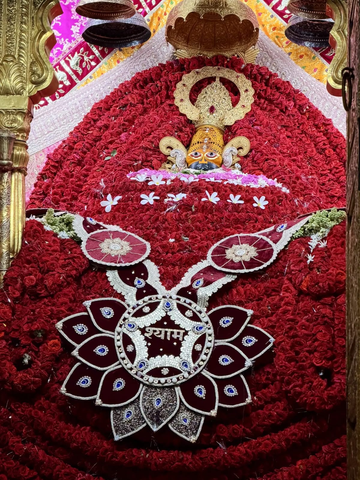 @shree shyam premi🫶🚩🕉️✨