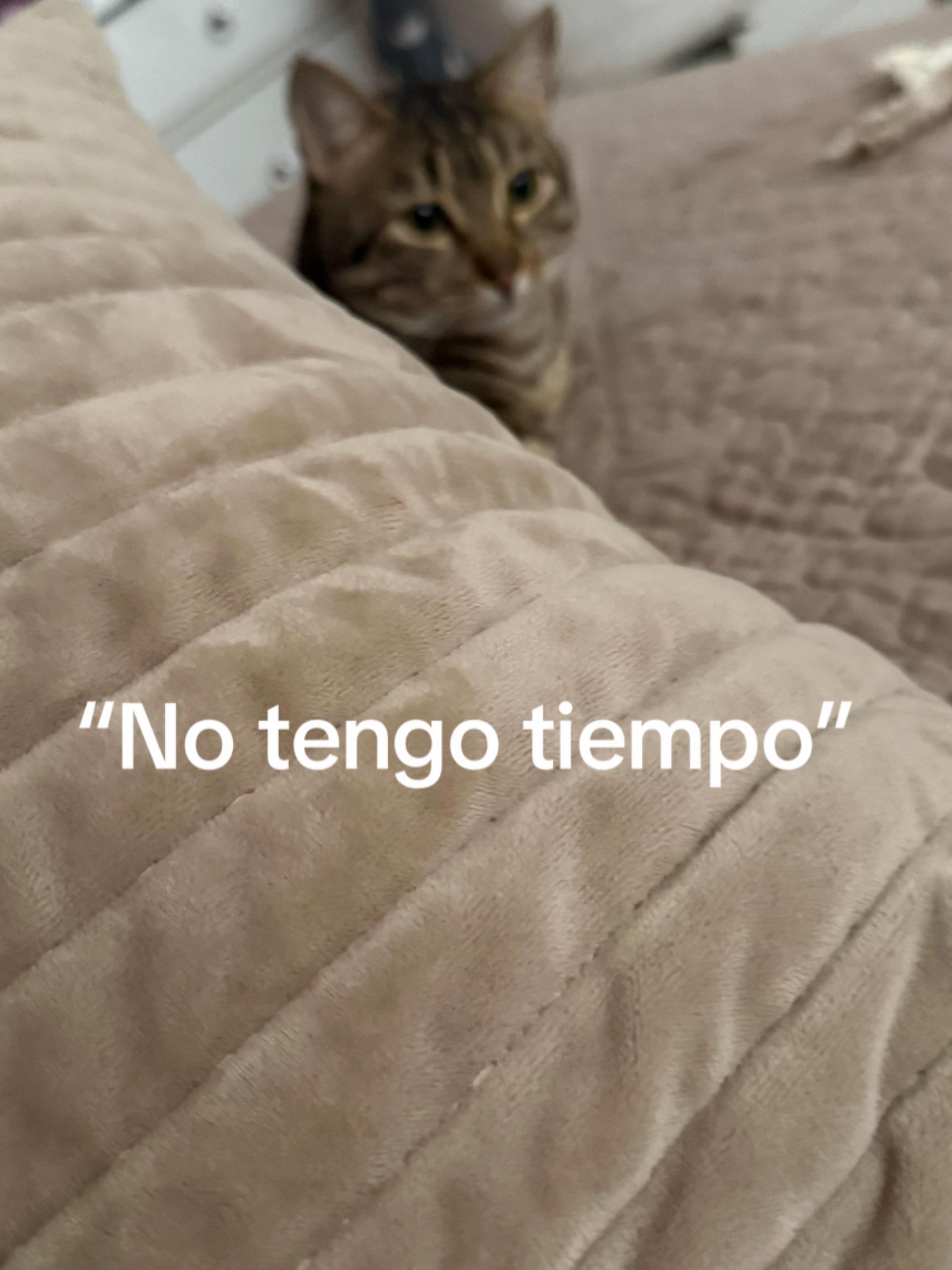 @Kathy Jimena