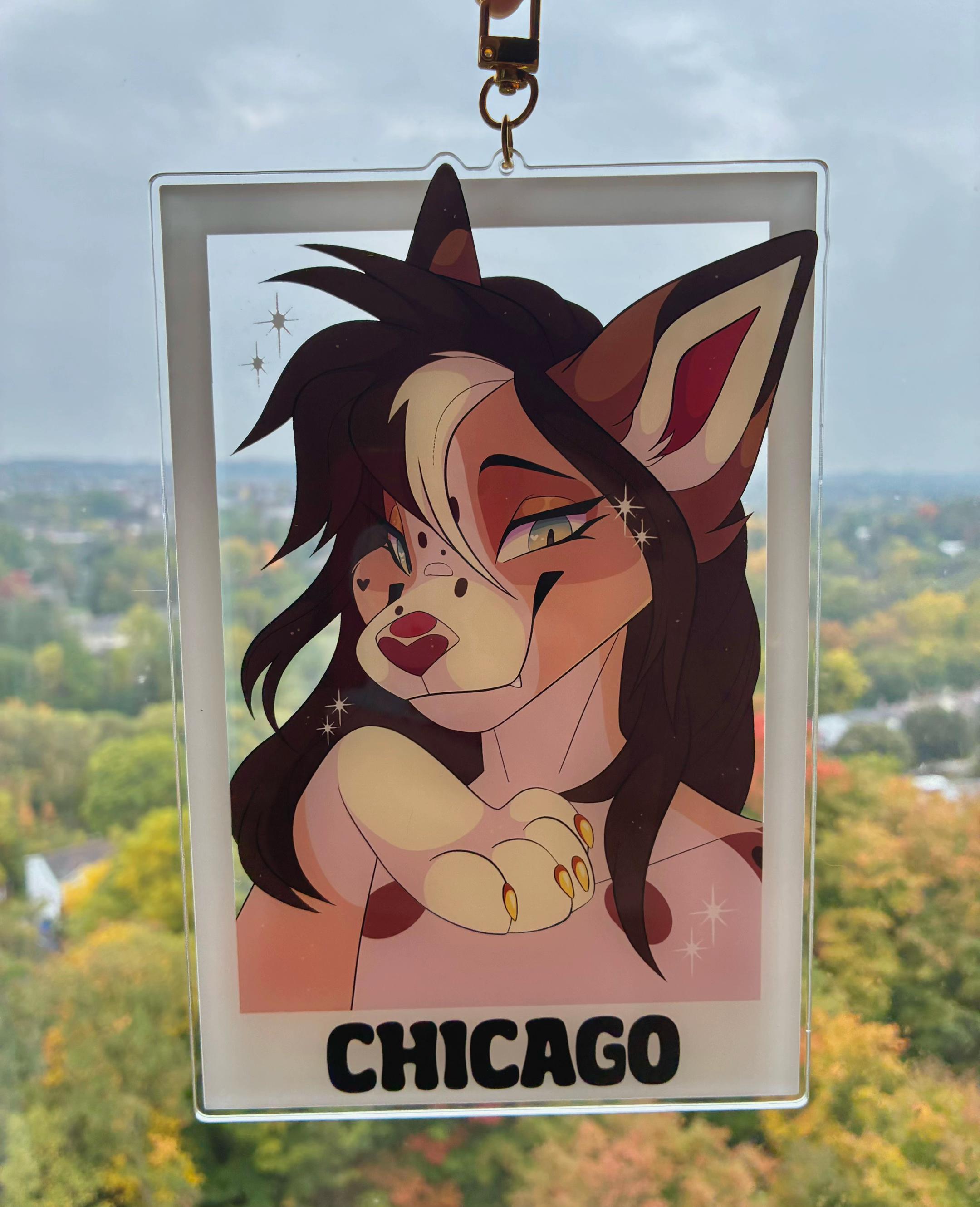 @chicagohuskygirl