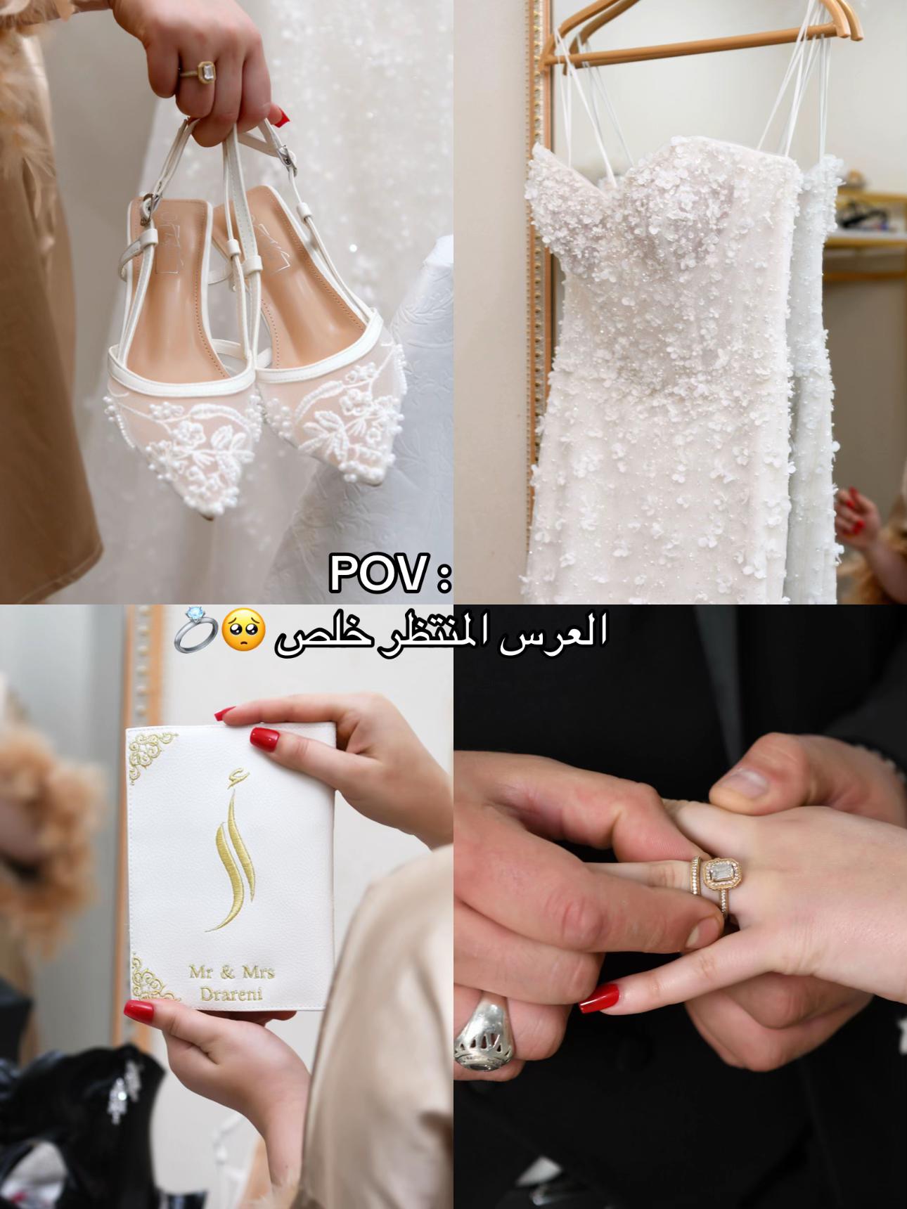 @amira mansour