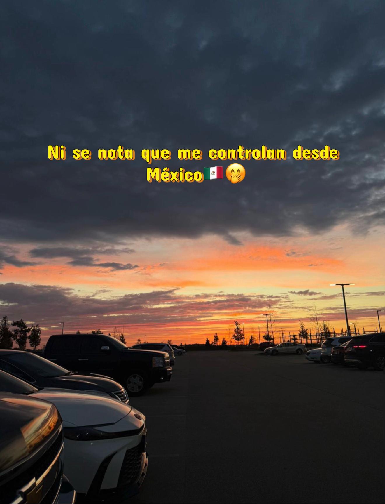 @Sandra Olguin