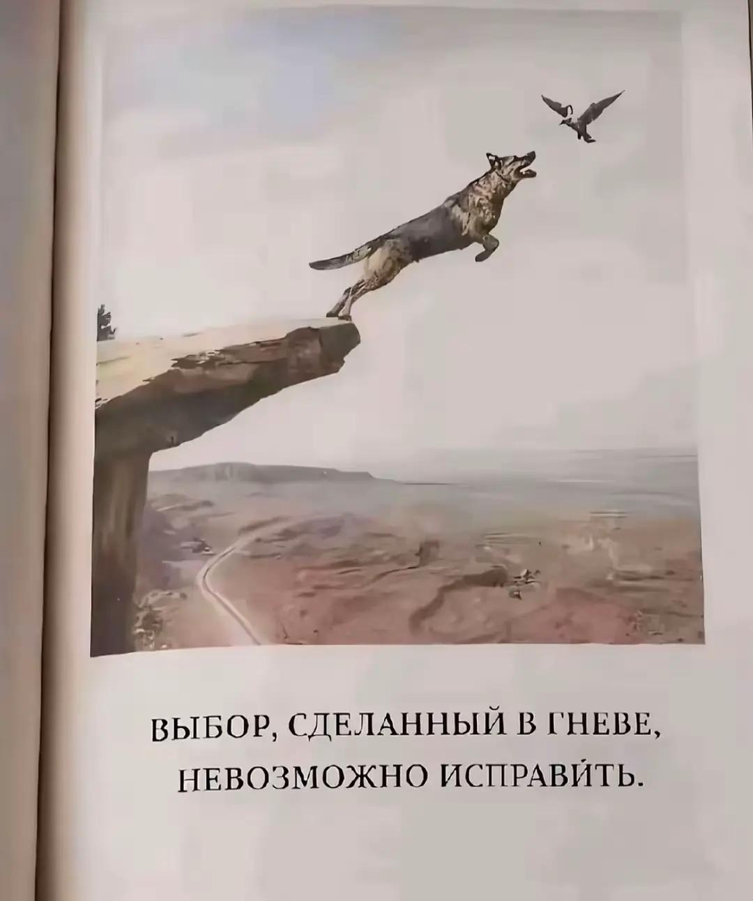 @ТГК: Егор Арбуз