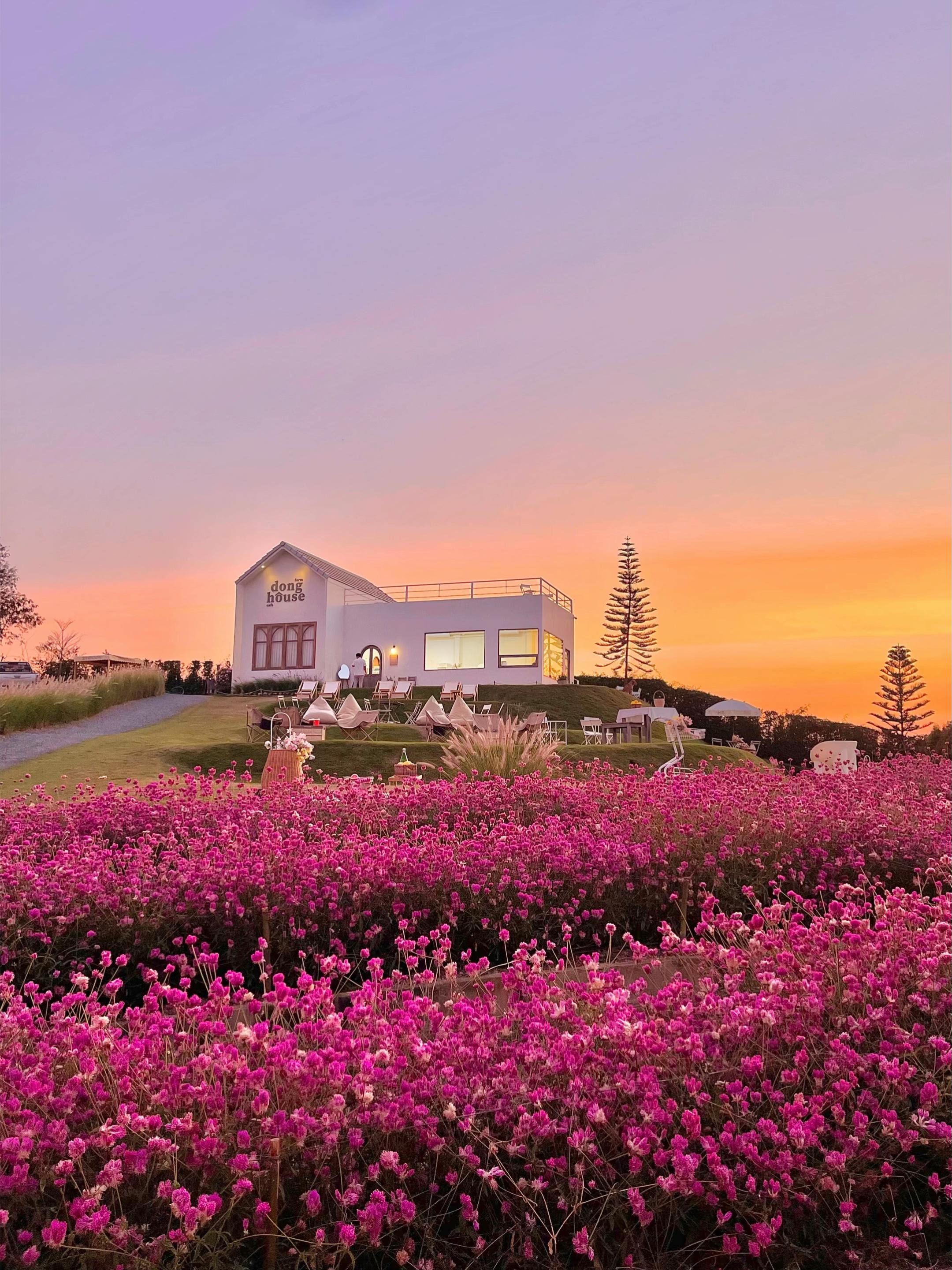 @donghousekhaoyai