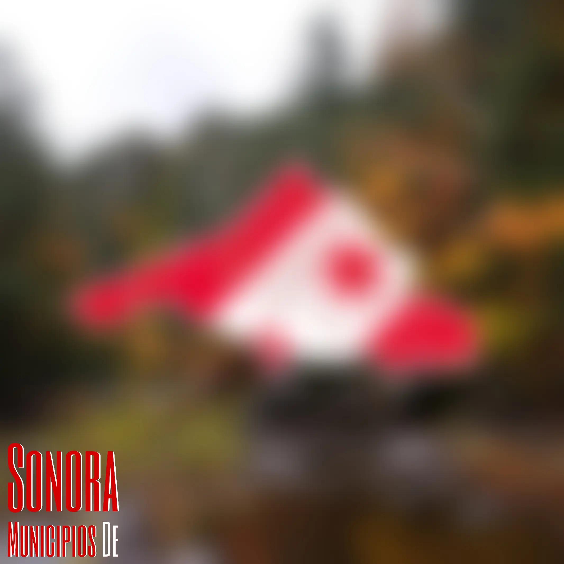 @🇾🇪 𝖔𝖎8𖤓8𝖎𝖔