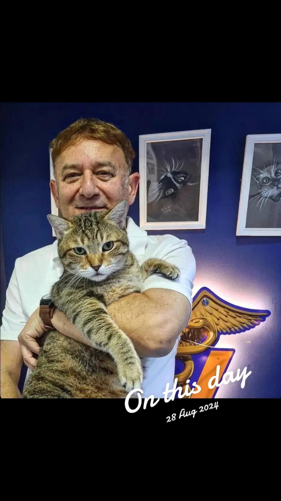 @VillagevVet LLC