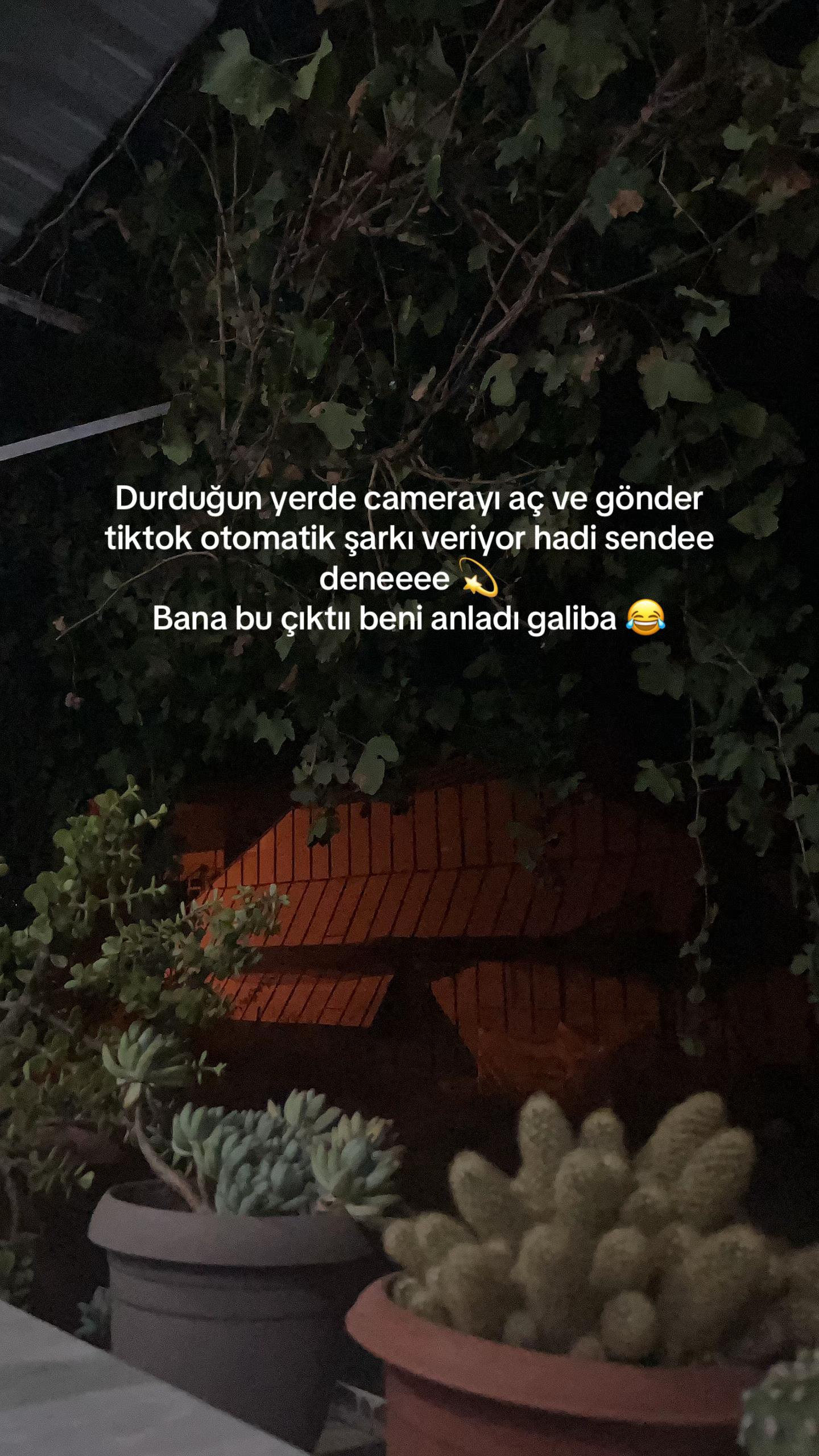 @Esma K&ouml;see