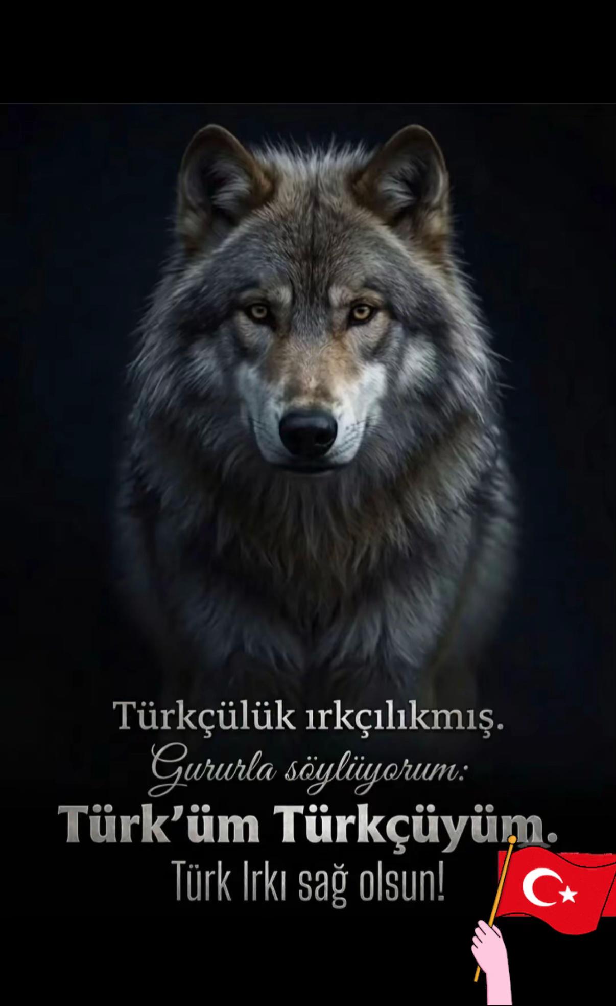 @🇹🇷ALFA🇹🇷