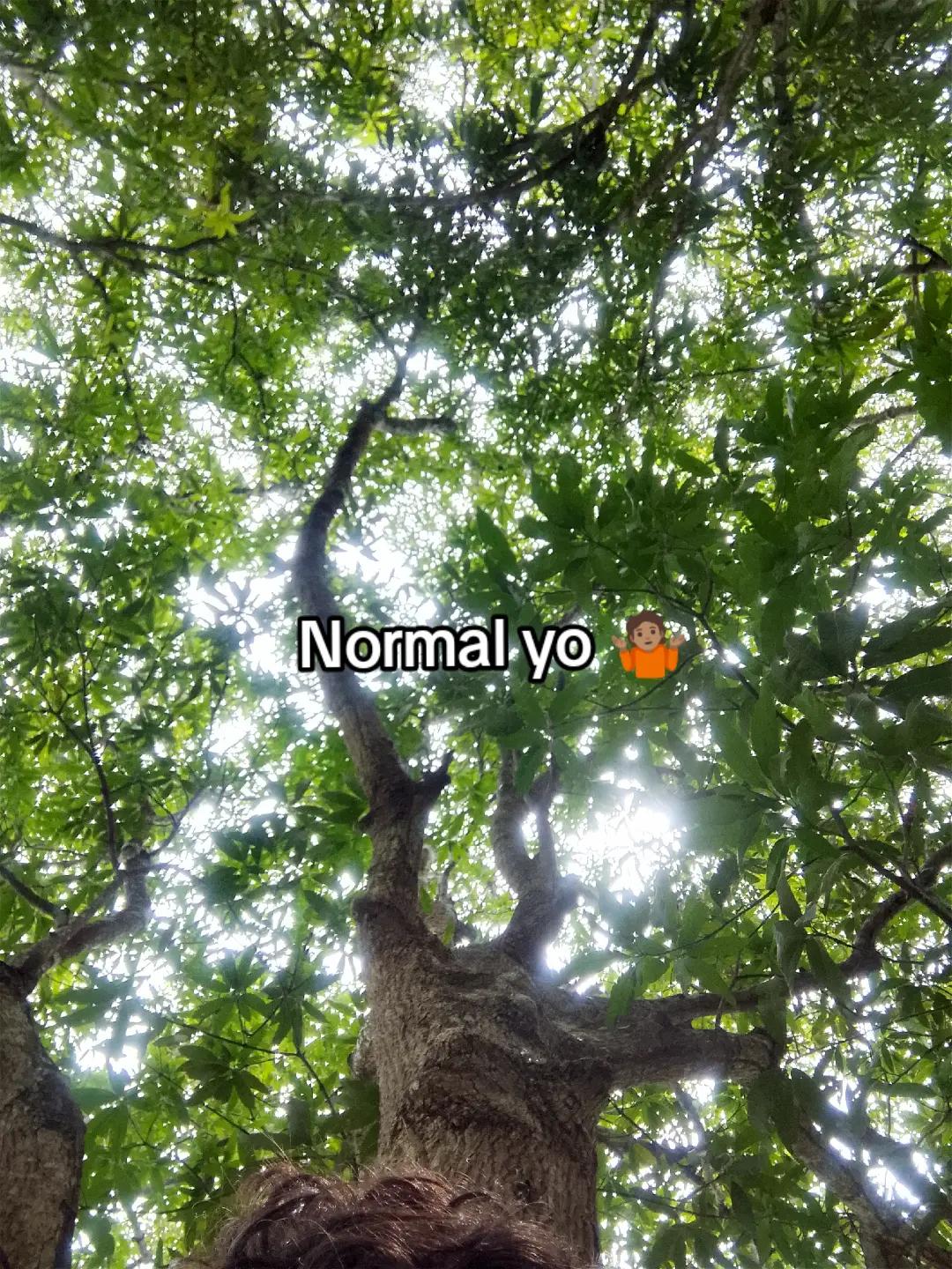 @𝕬𝖑𝖊𝖝𝖆𝖓𝖉𝖊𝖗