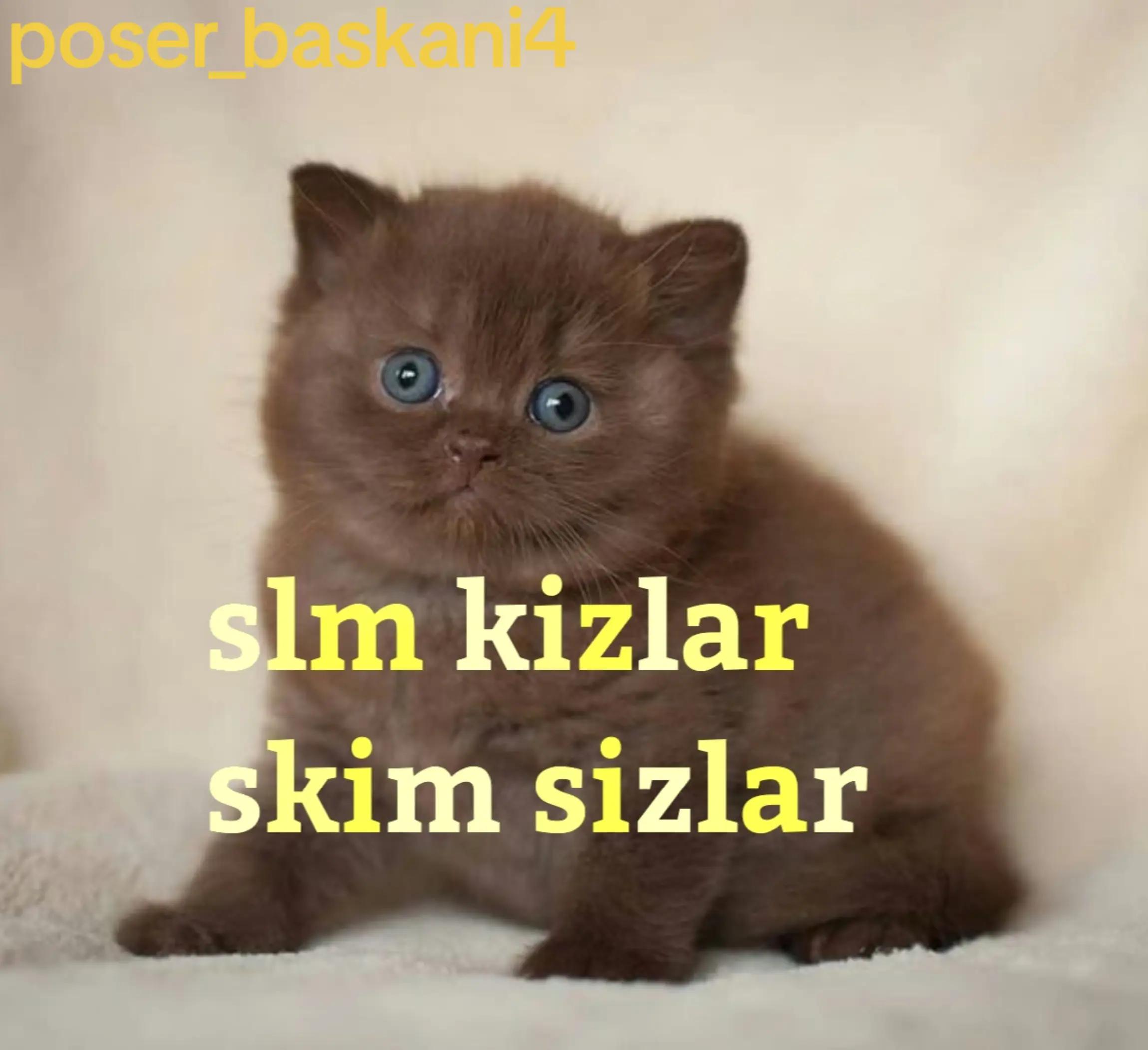 @poser_baskani4