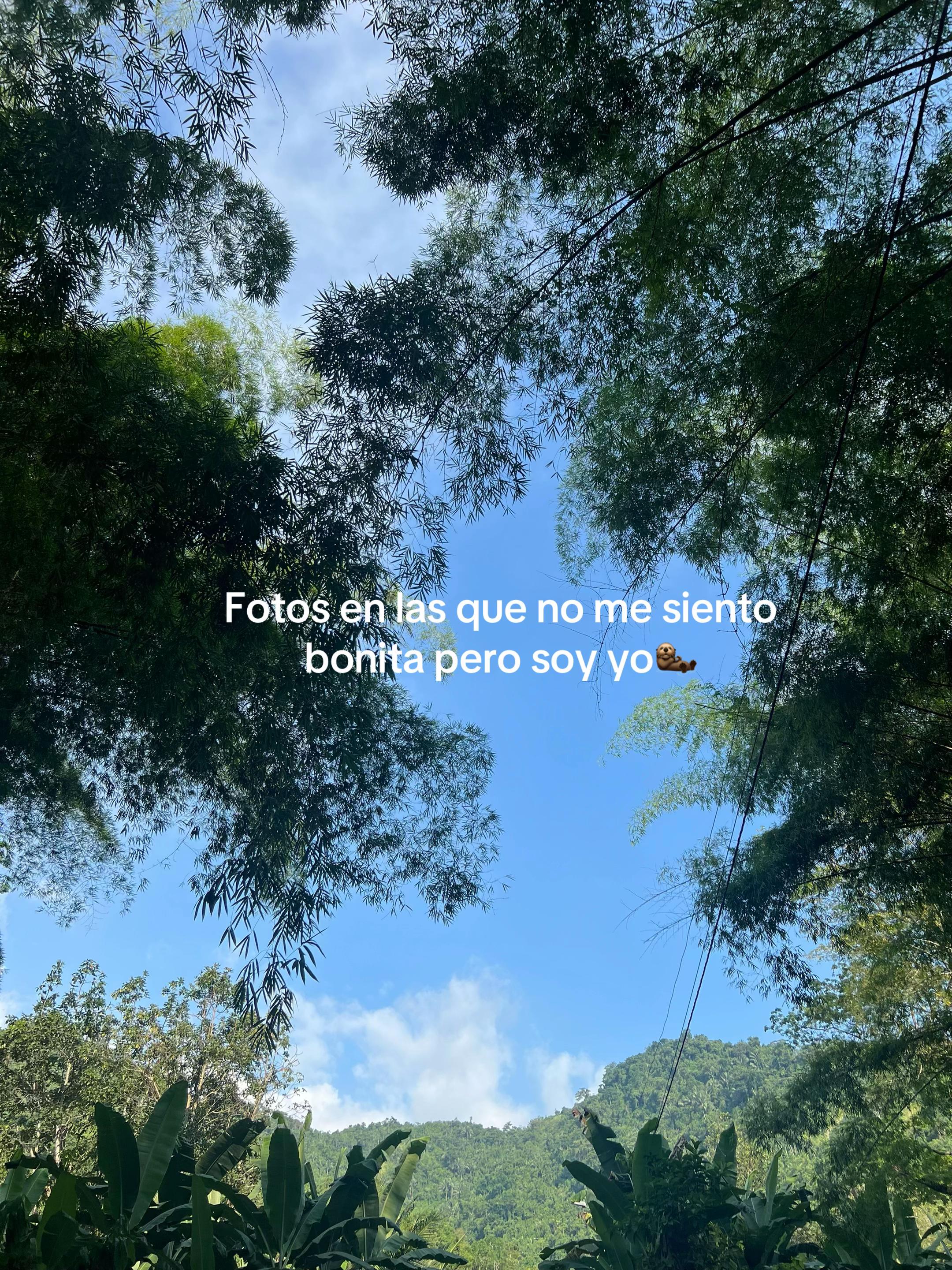 @Ambar Moreira🦖