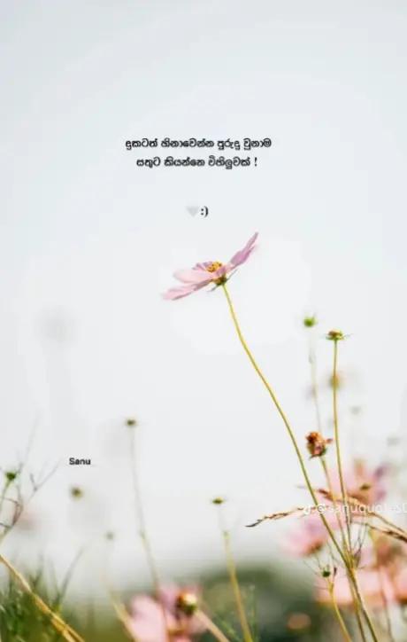 @04:25🍃