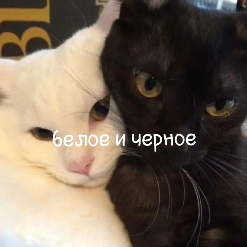 @кишлак на минималках