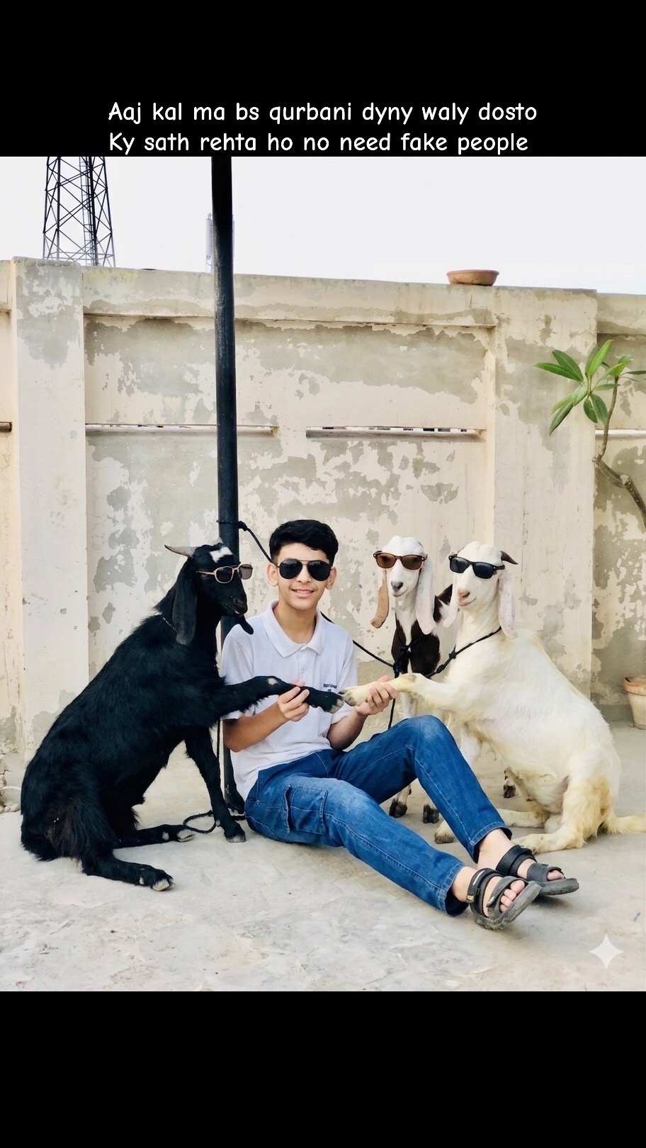 @MusaShah is here 😎