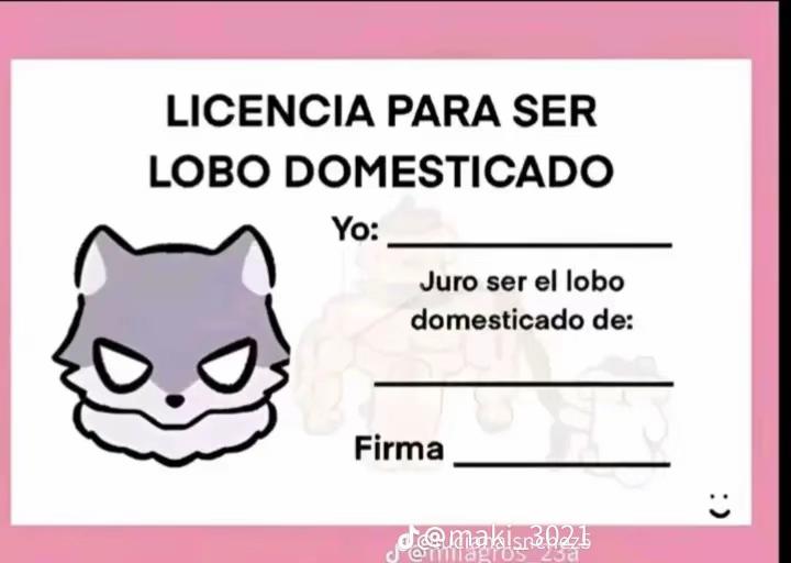 @_yslenn.xi
