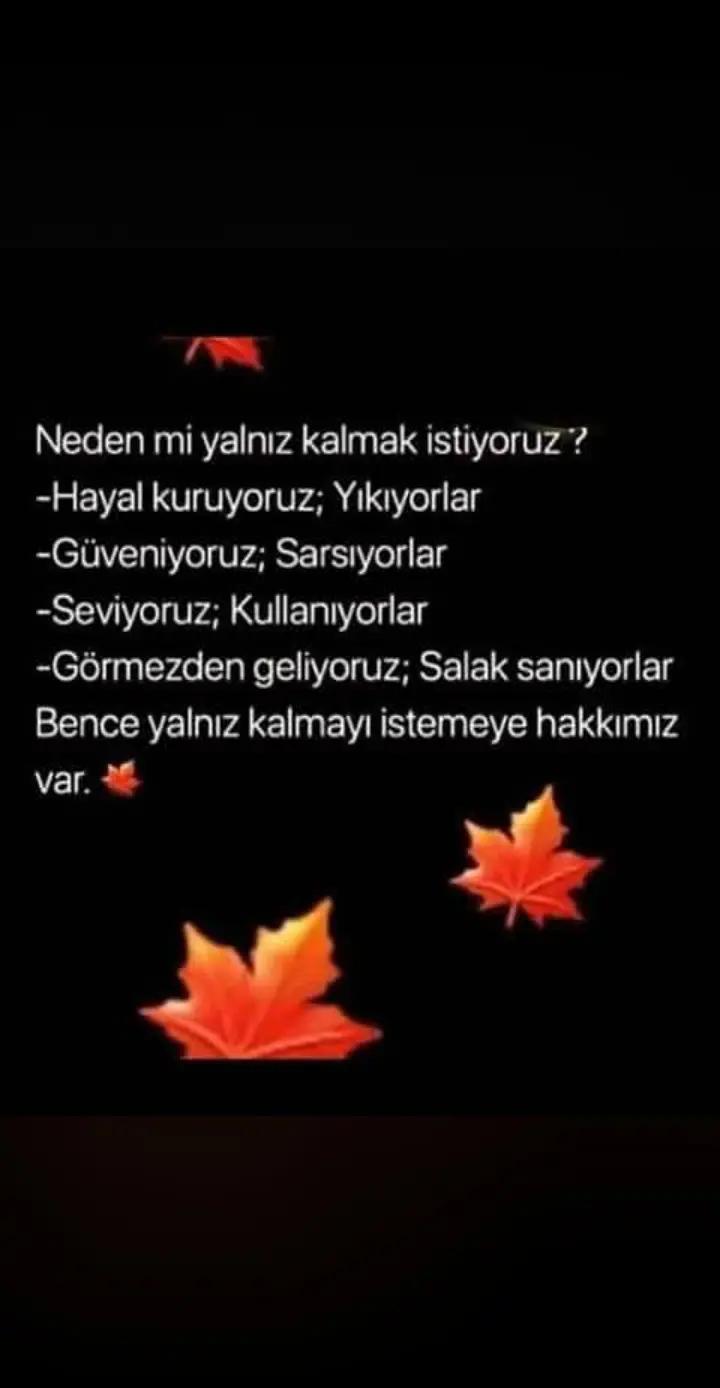 @Nilufer Kurcan