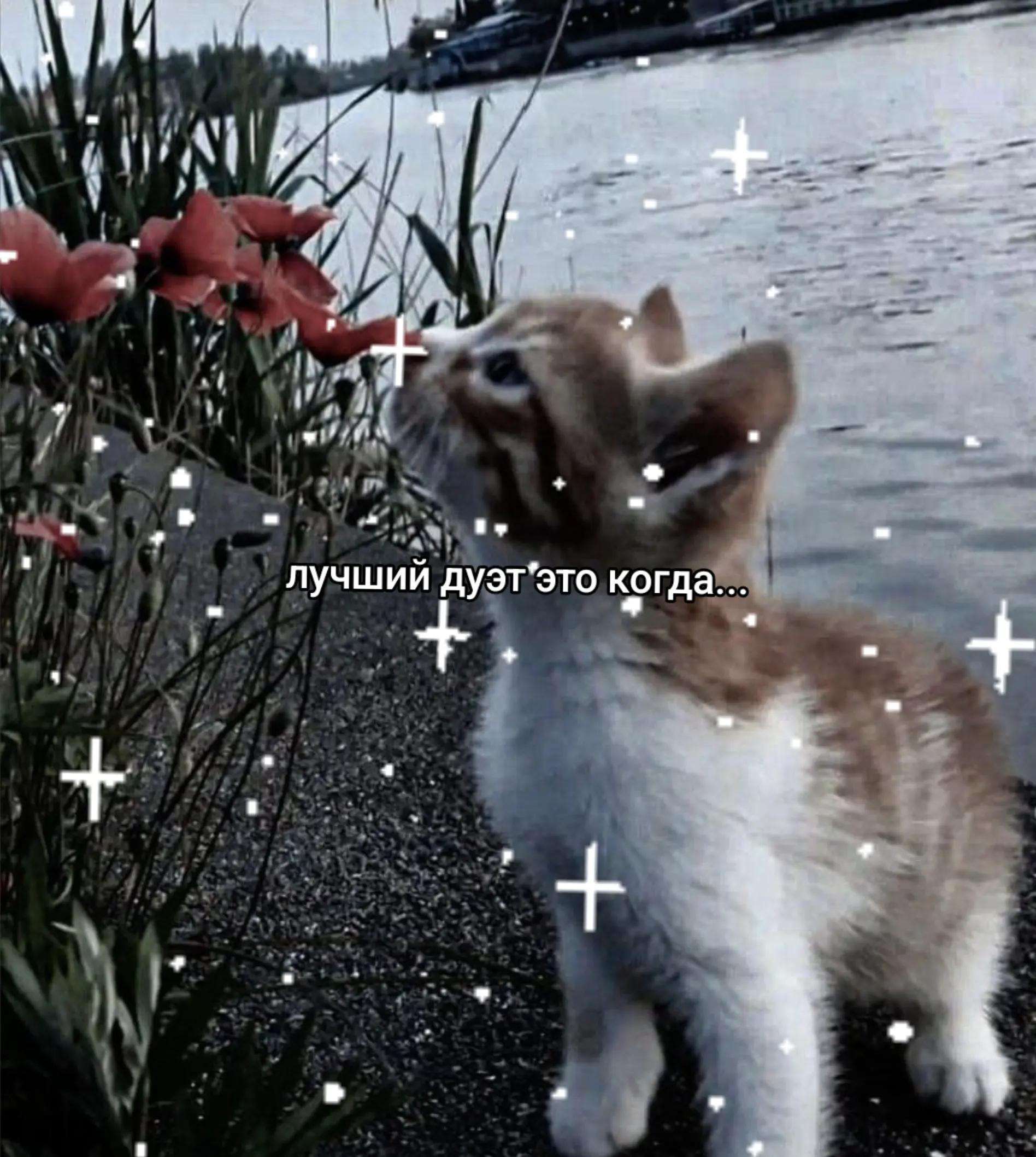 @~Между_Джексом_и_хаосом✓