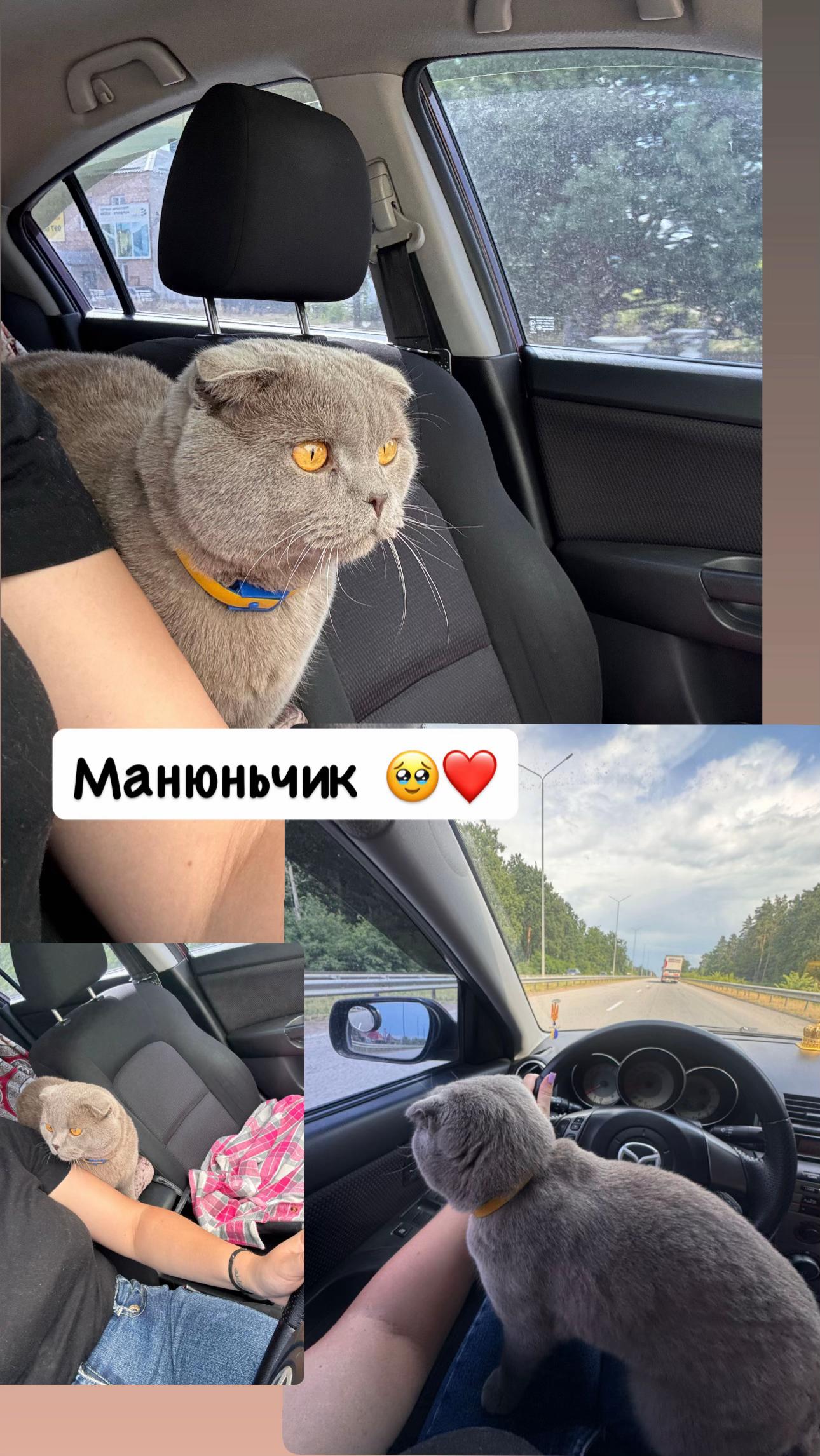 @𝑨𝒍𝒆𝒙𝒆𝒆𝒗𝒏𝒂_🕊️
