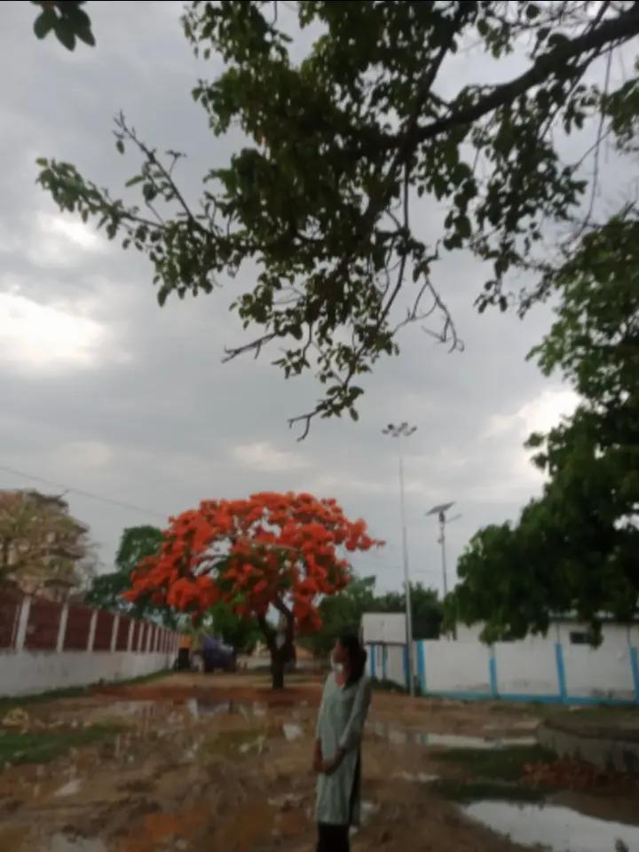 @Shrishti singh