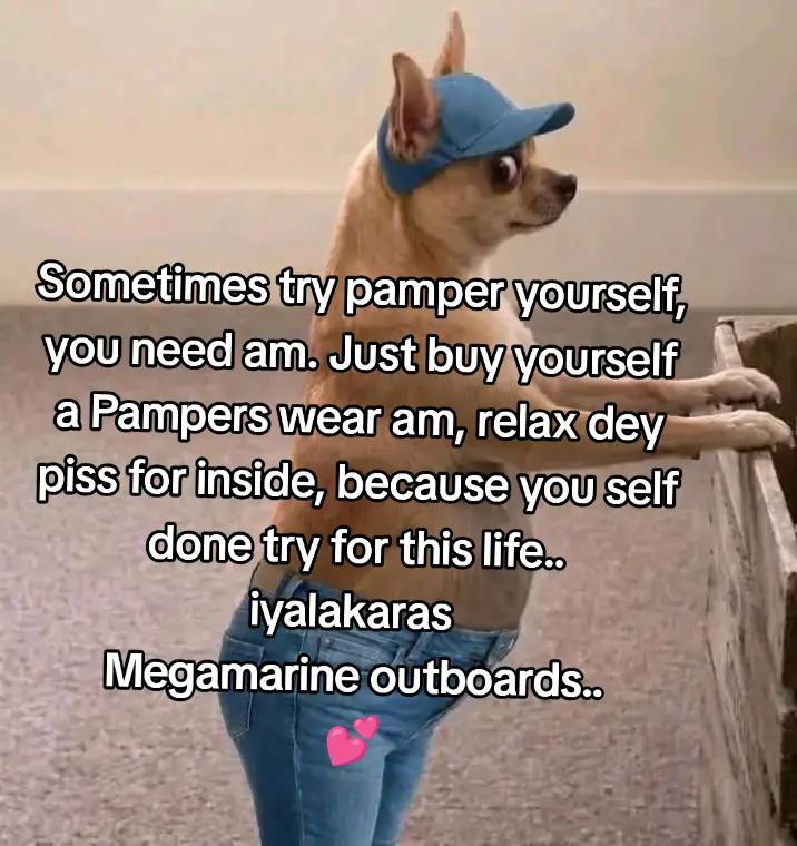 @MEGA MARINE