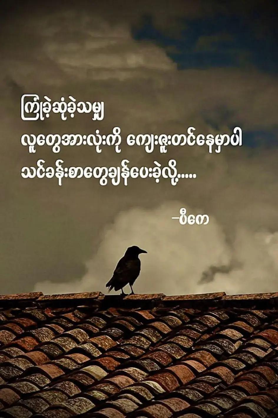@လူ ငယ်"📚📖