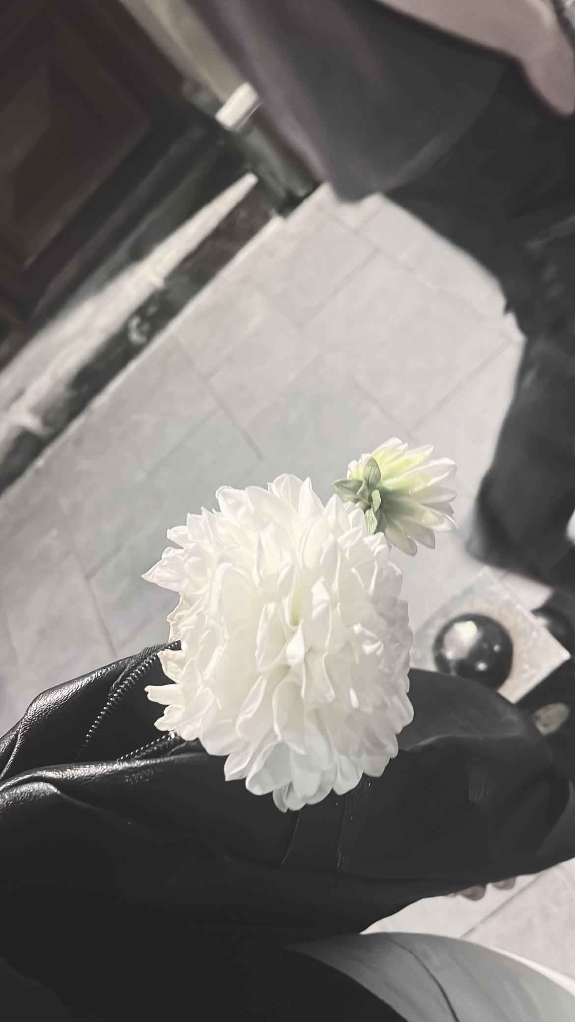 @Set ur soul free