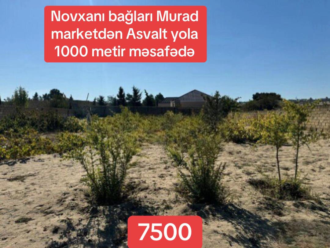 @Əmlak&ccedil;ı.Novxanı