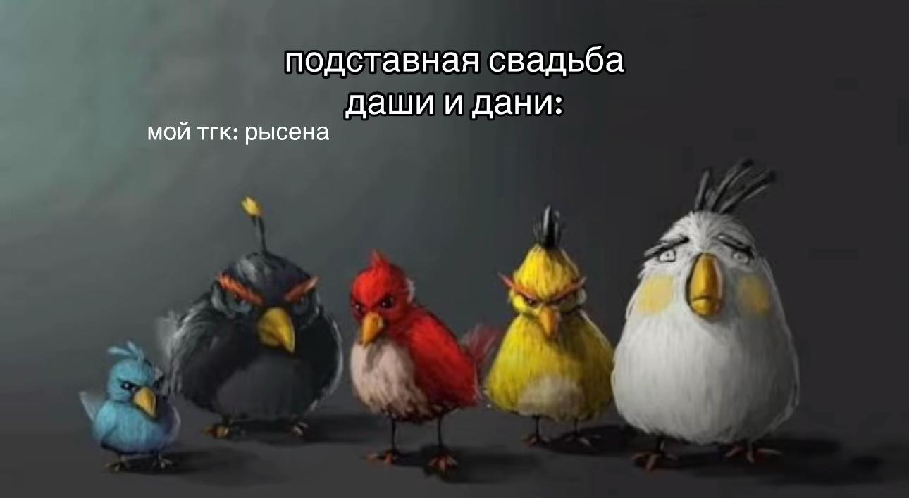 @𓂃𑁯ᰍ тгк: рысена 🫂 ੭੭ ᜔