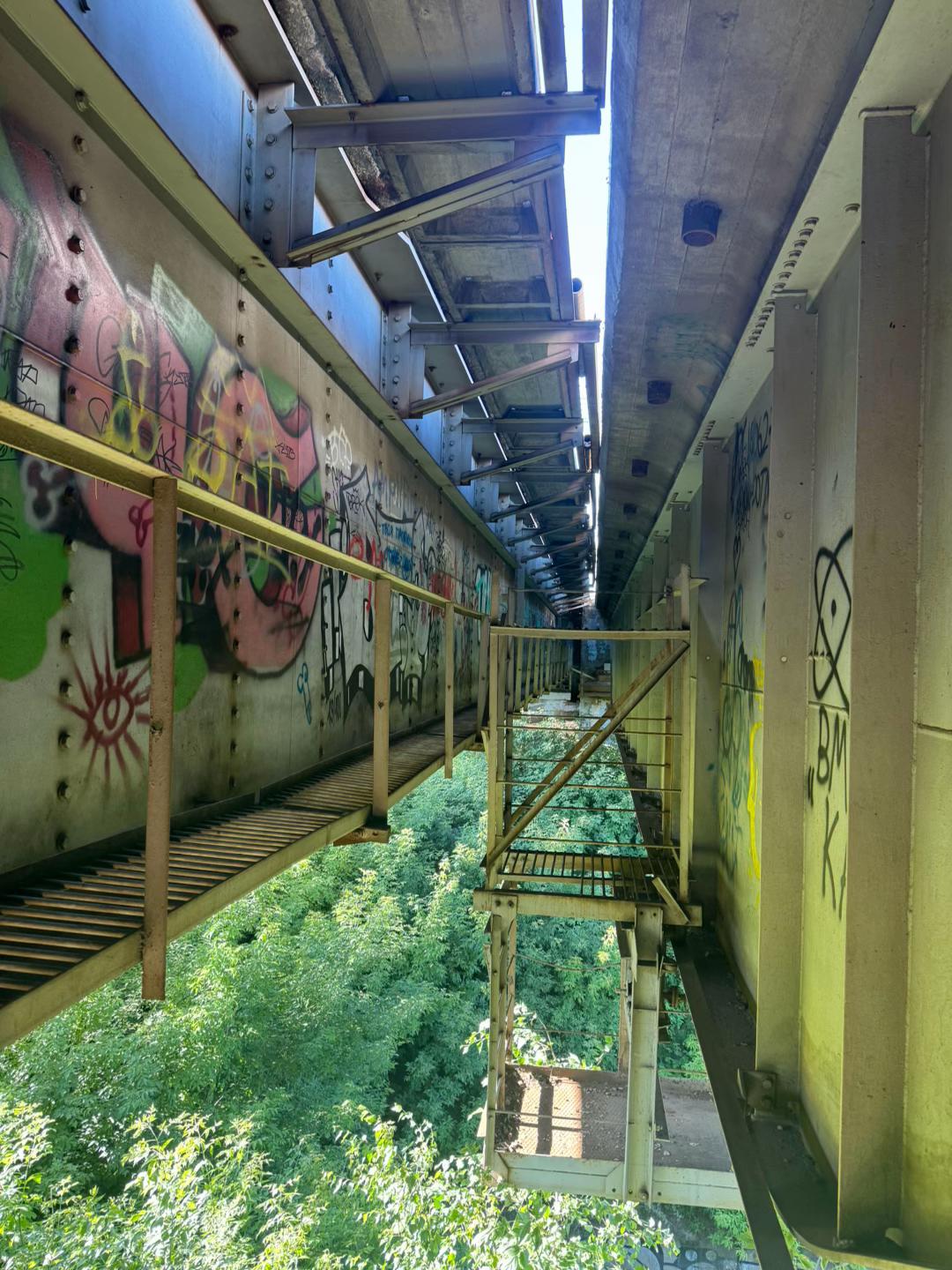 @引き籠もり☣︎