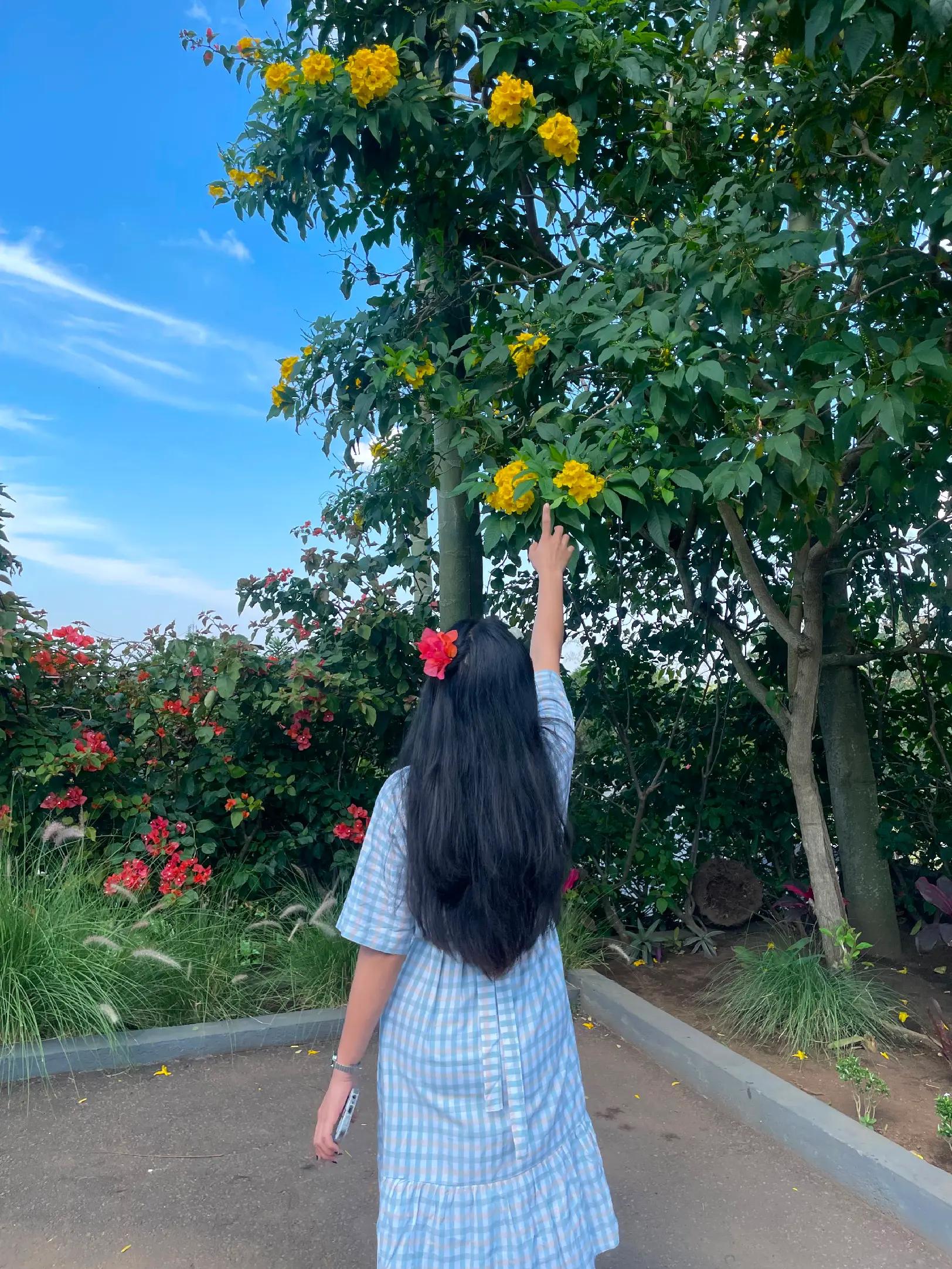 @v12a🦋