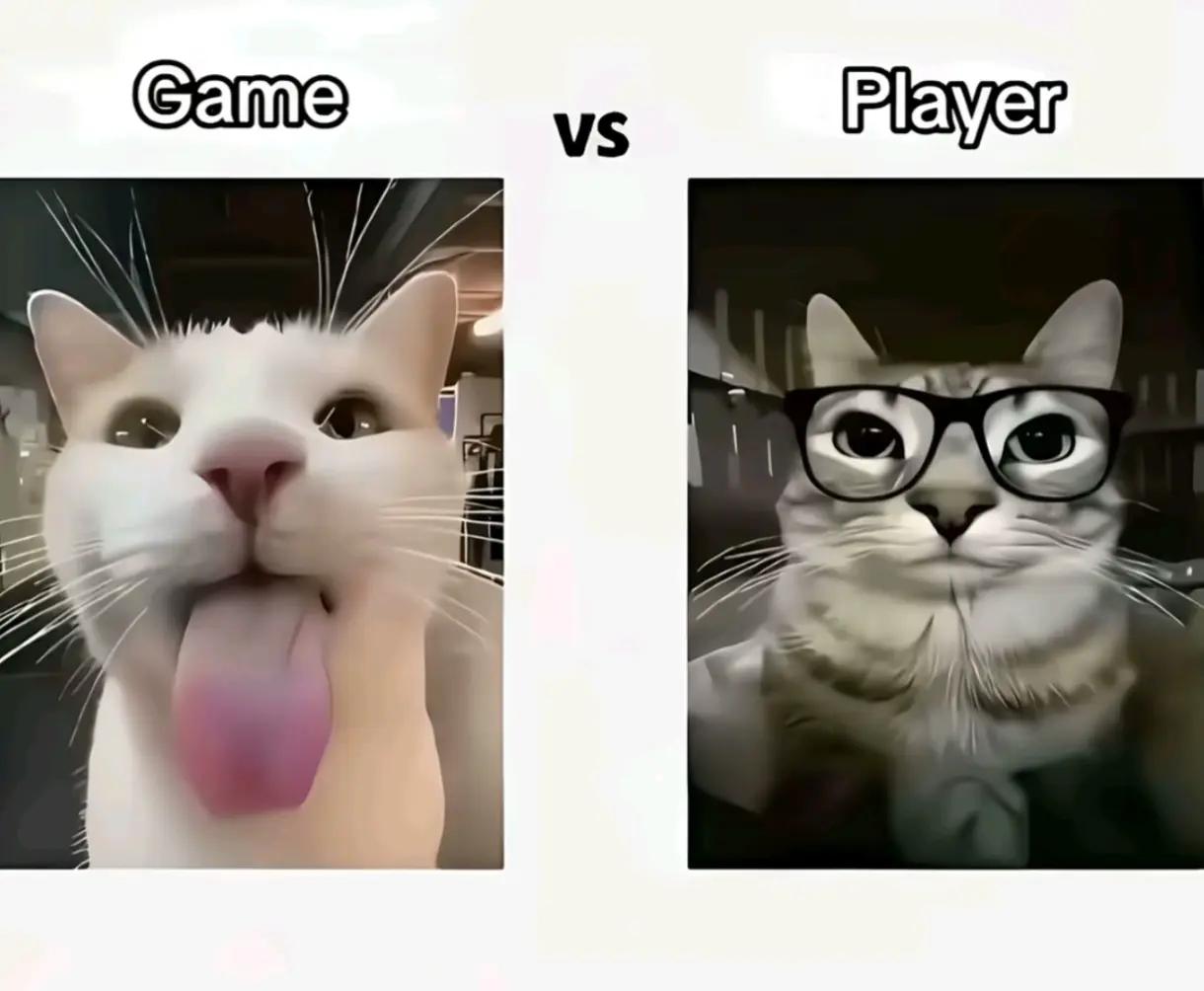 @Kαιყα