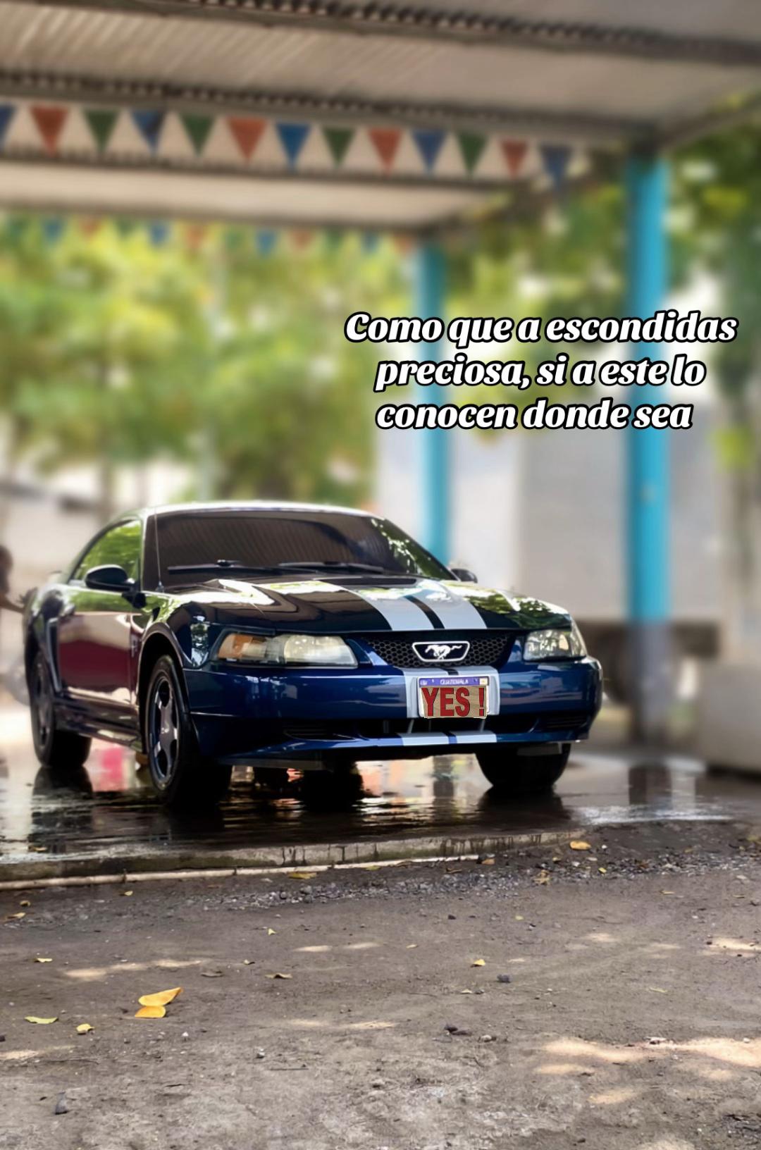 @🦦Chávez🙂↕️