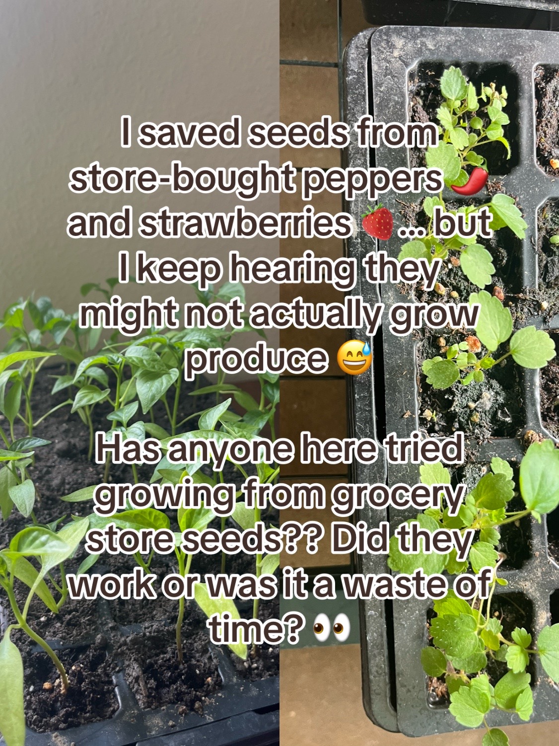 @probablyoverwatering