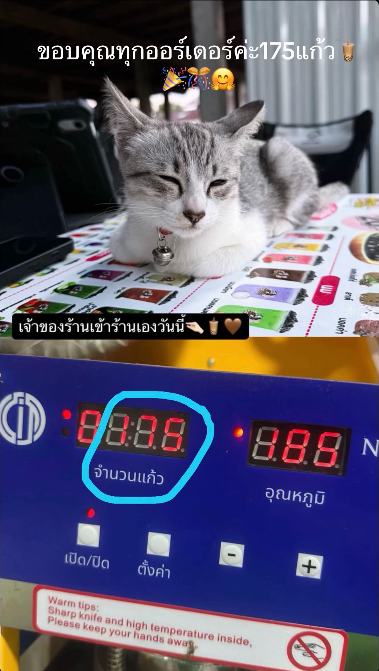 @Nene ชอบกินชาเขียว💚