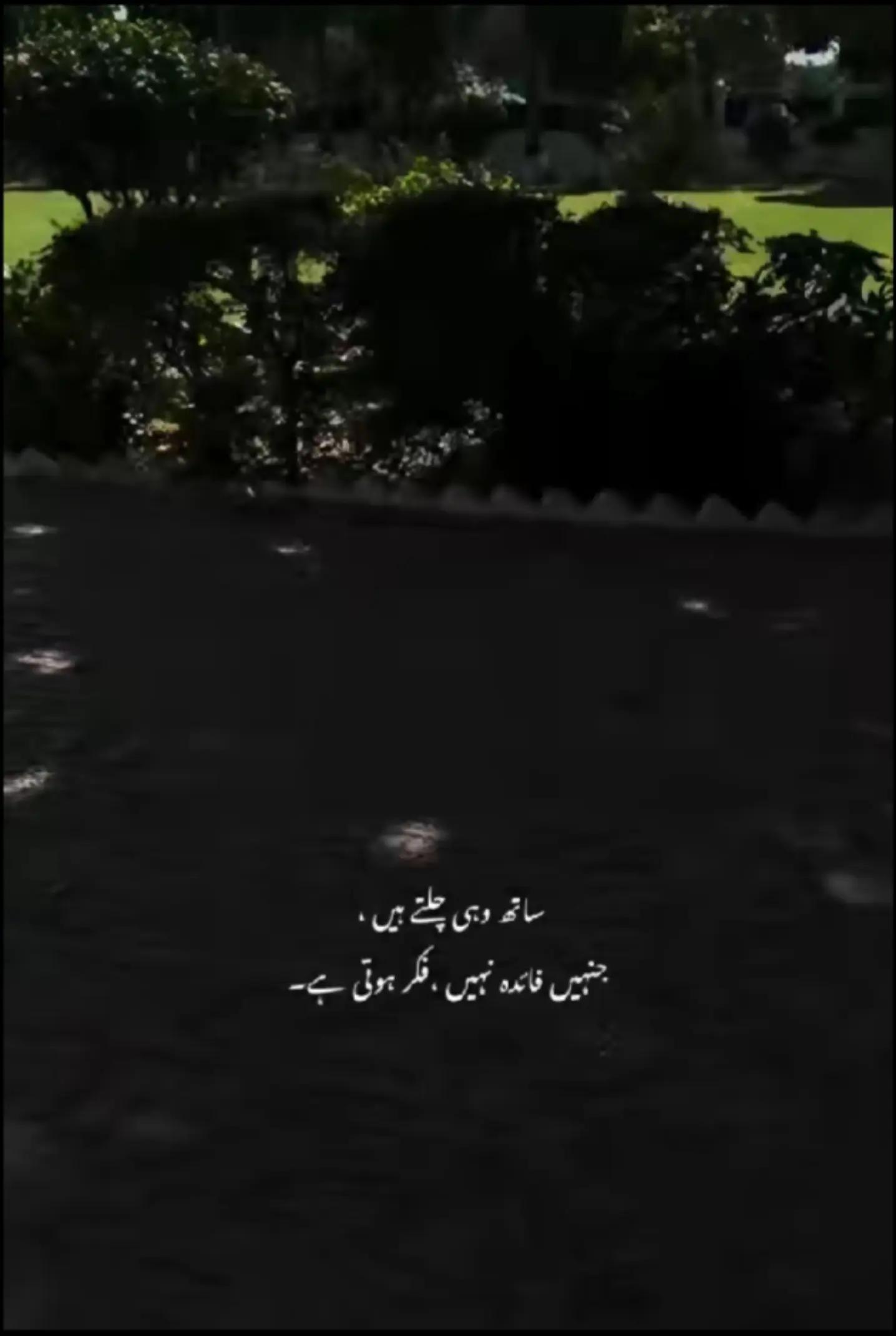 @طحہٰ بادشاہ👑
