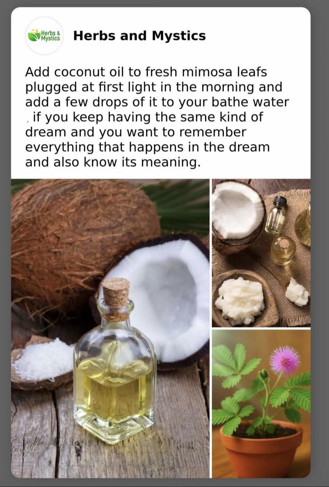 @Herbs And Mystics