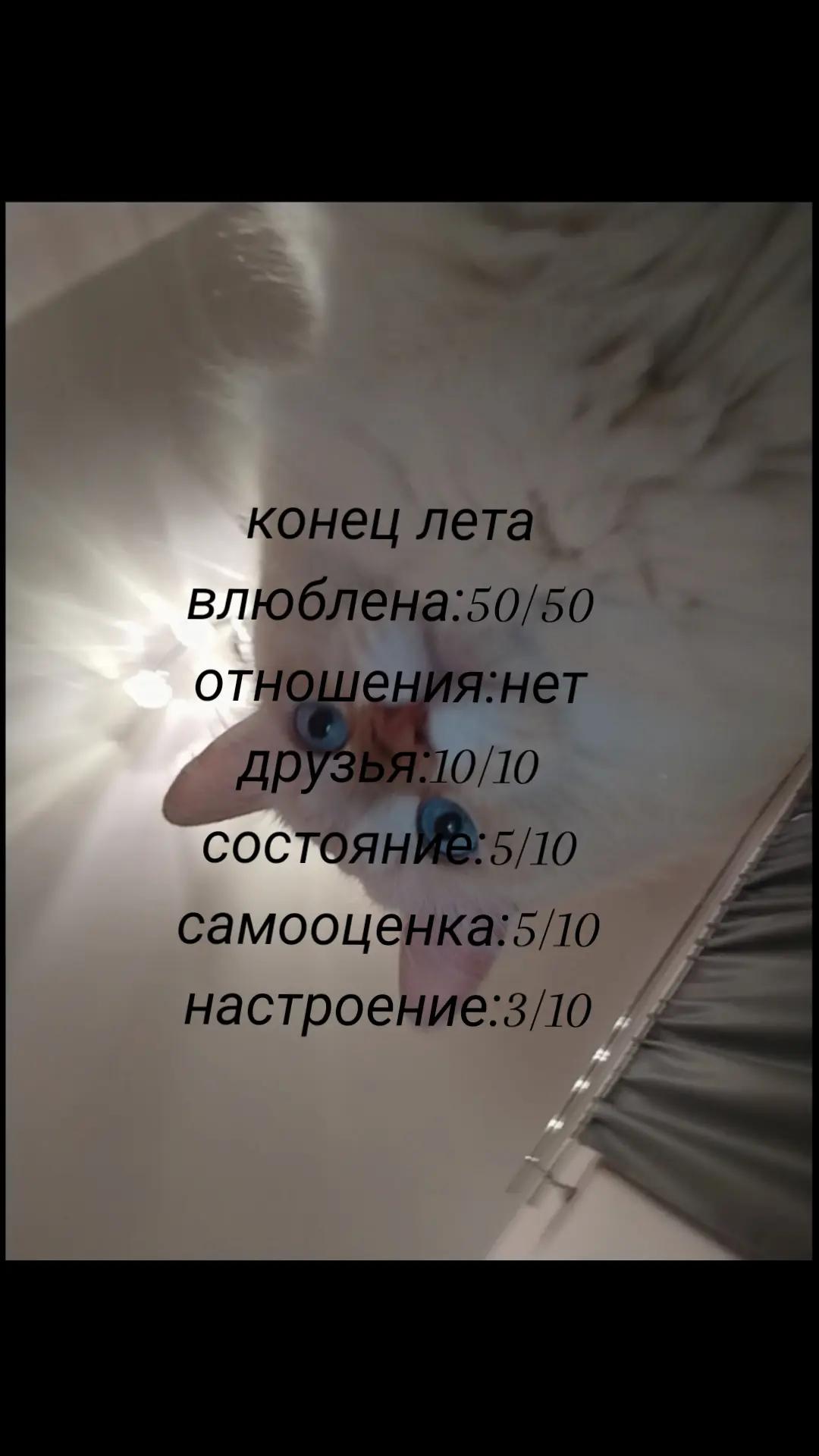 @kenvyx𐙚