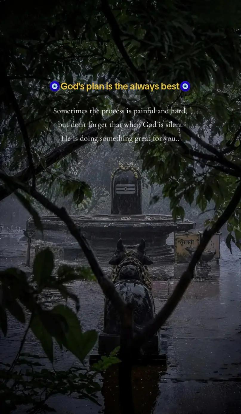 @🌜మెష్నాగా🌛