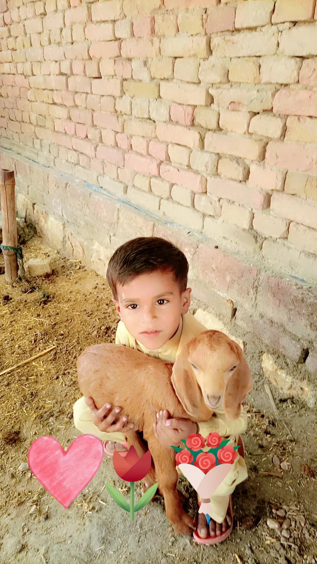 @kreemshaikh
