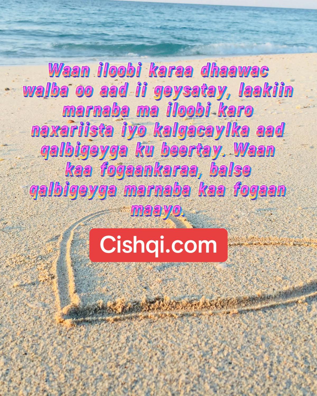 @CISHQI