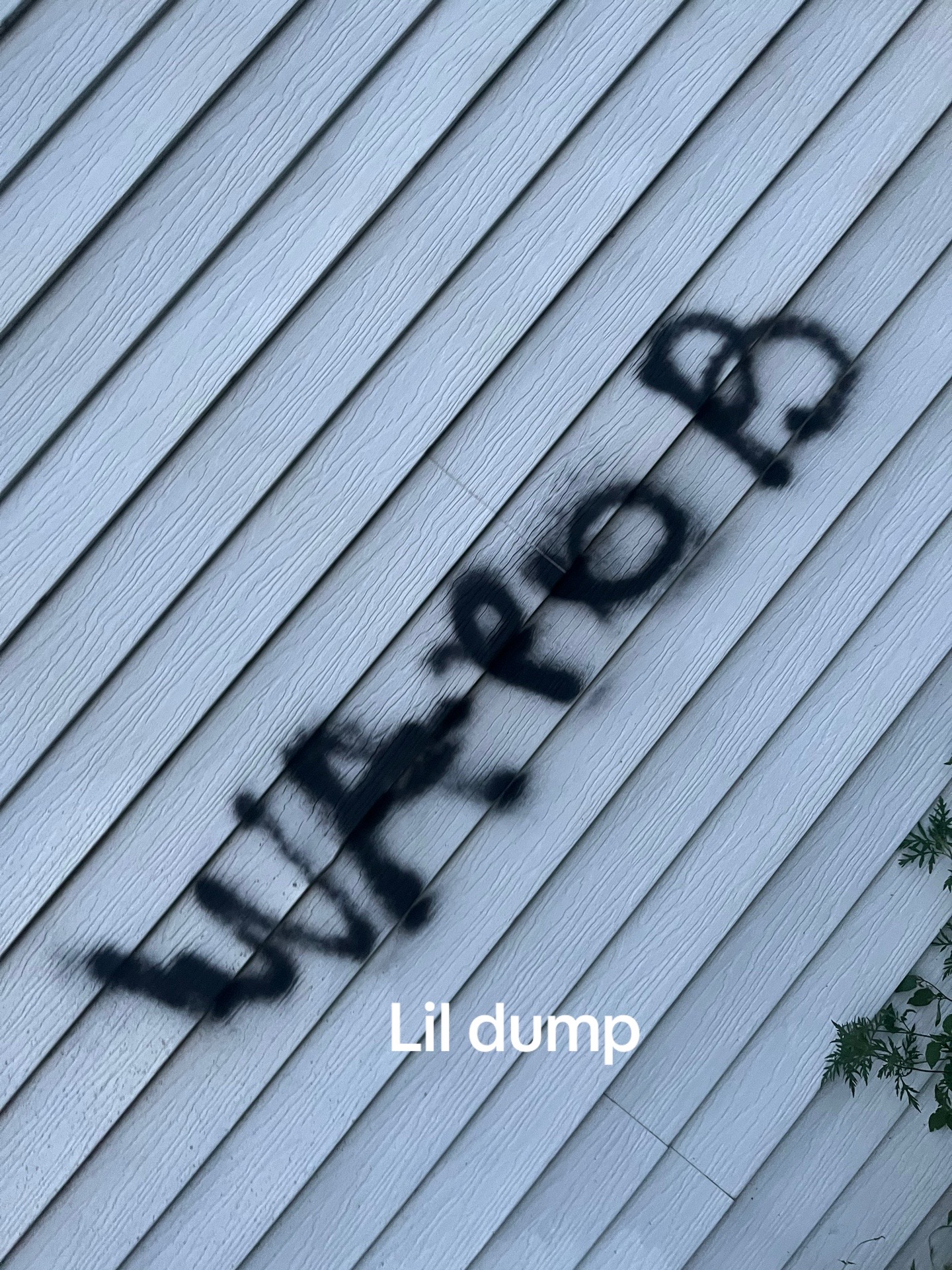 @maintapp0