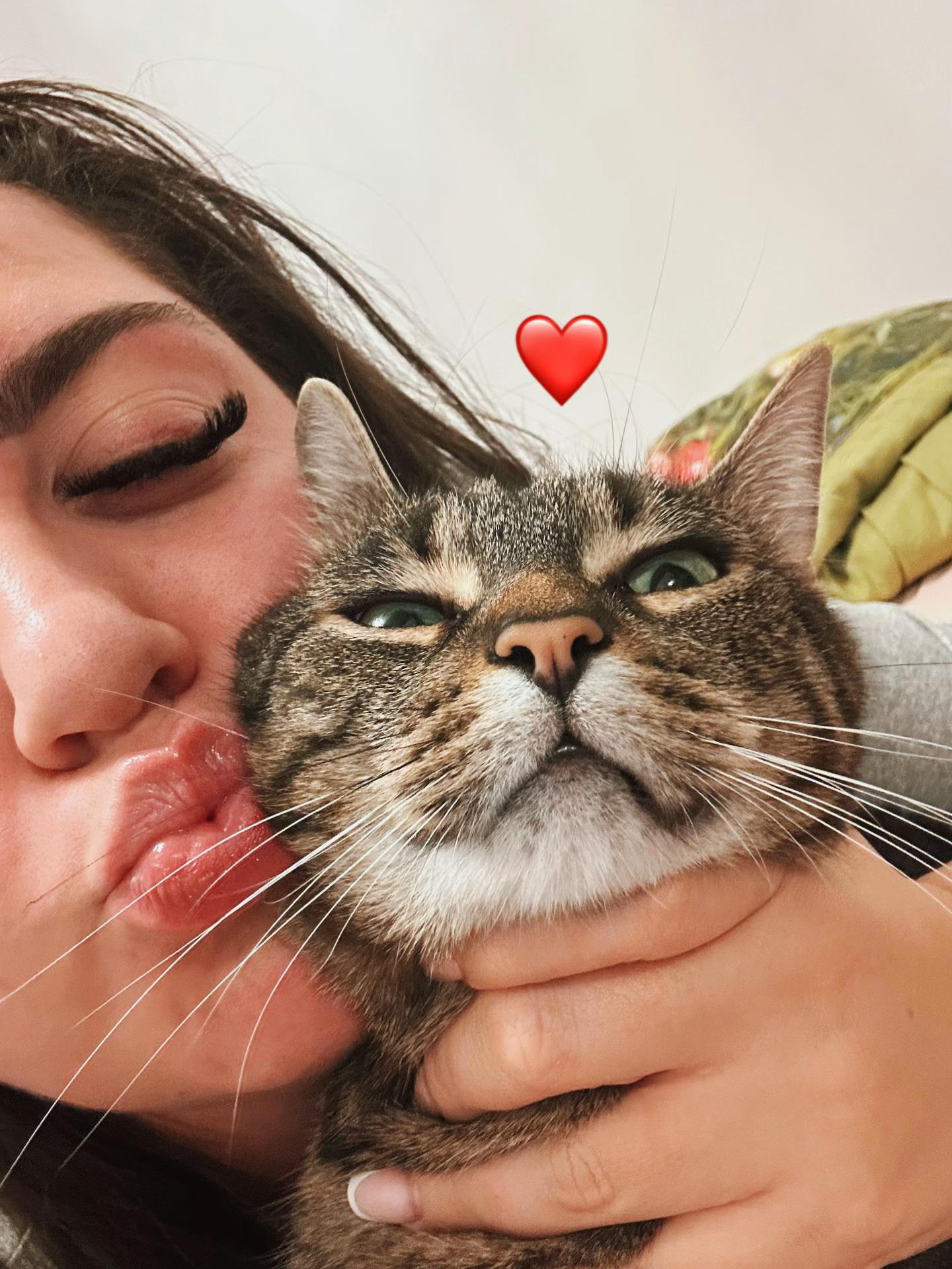 @νɨღℓɑ✨