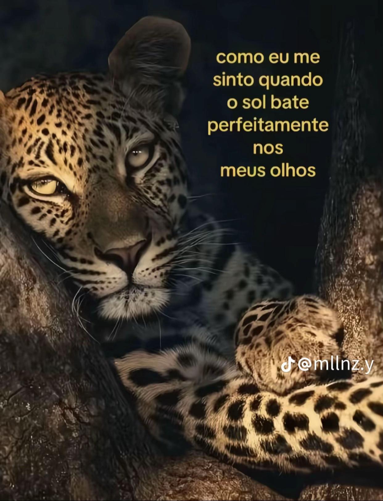 @Vava💋