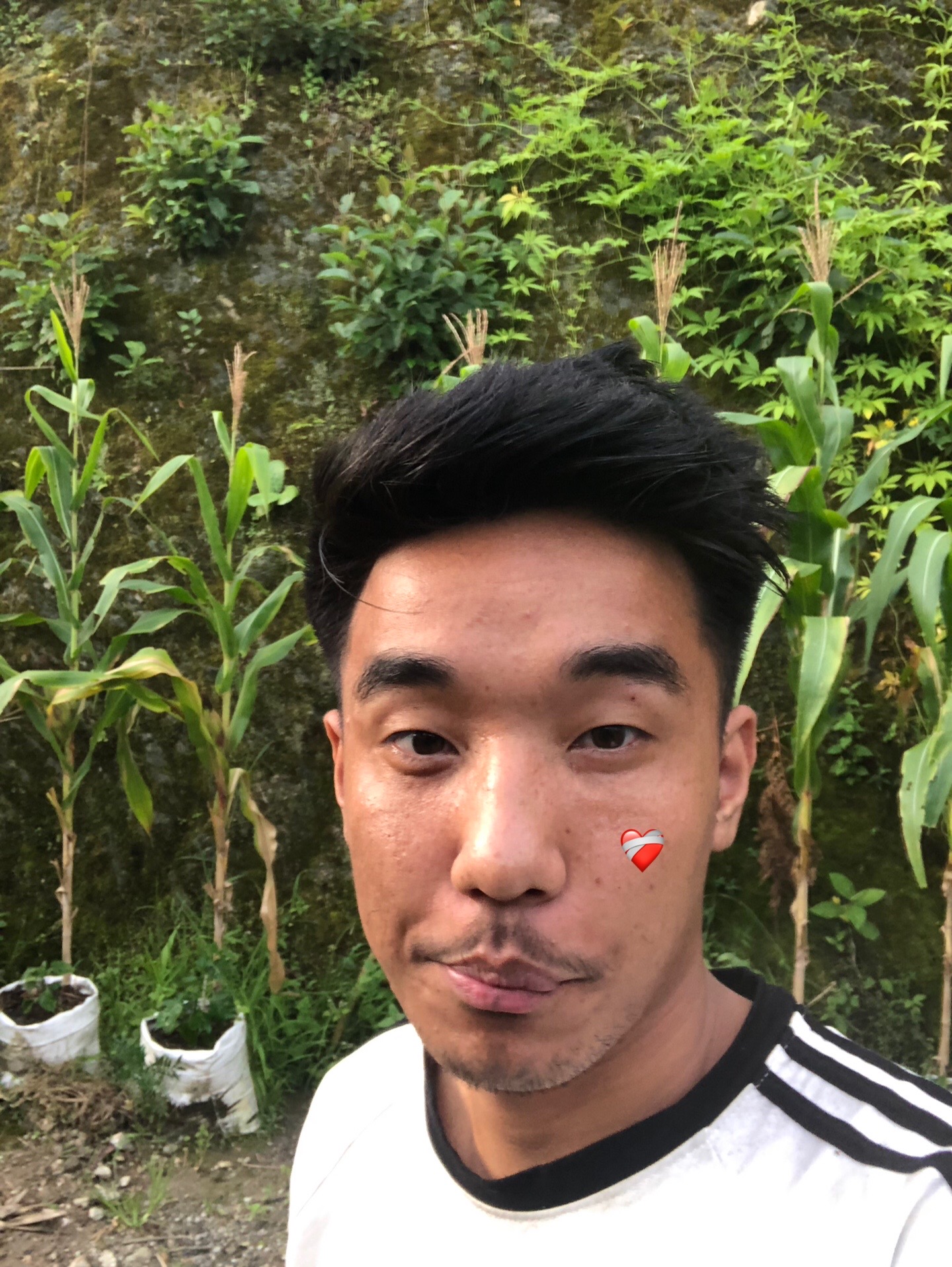 @chemjung 
