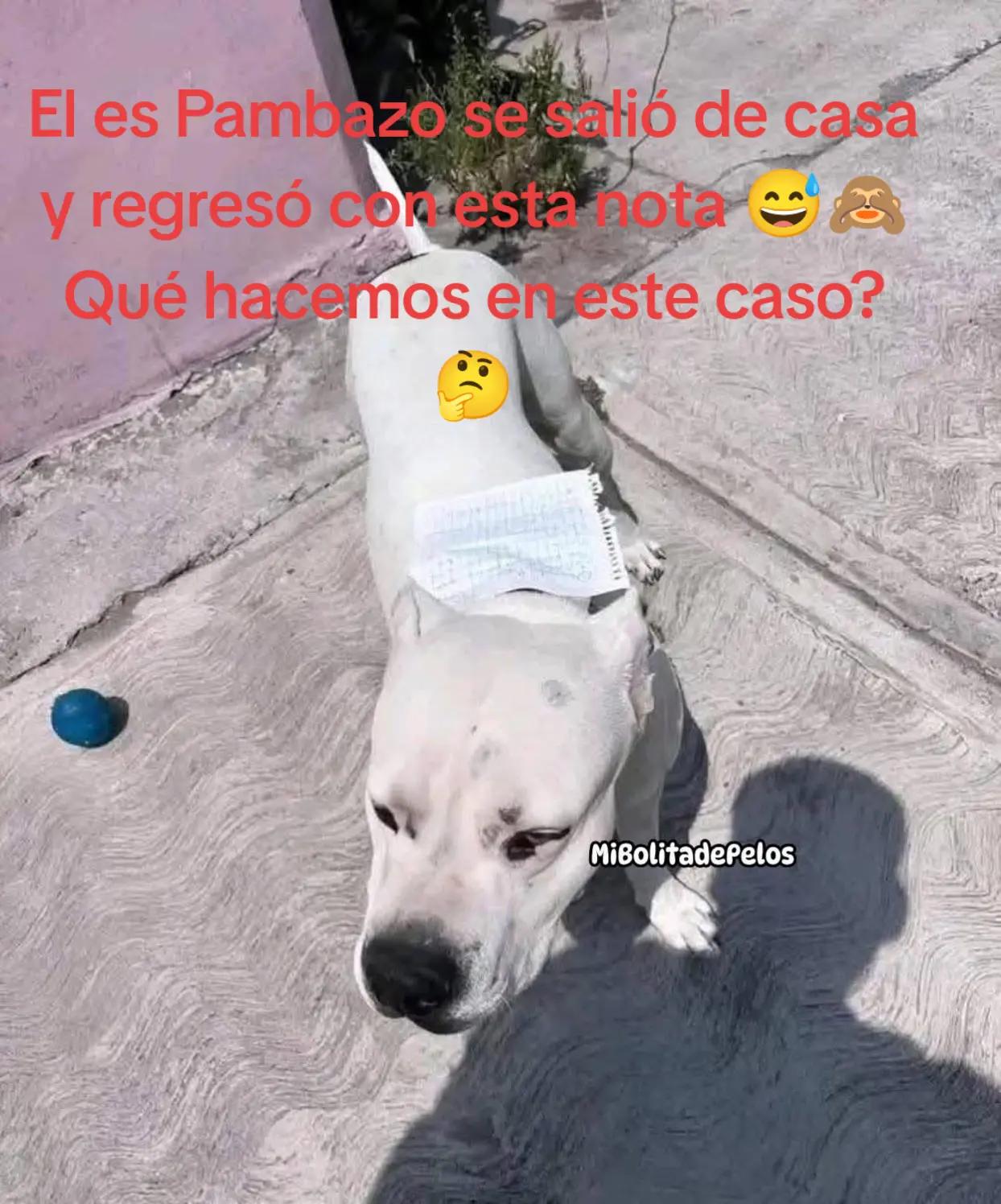 @&Agrave;ntu&aacute;_Fransu&aacute;