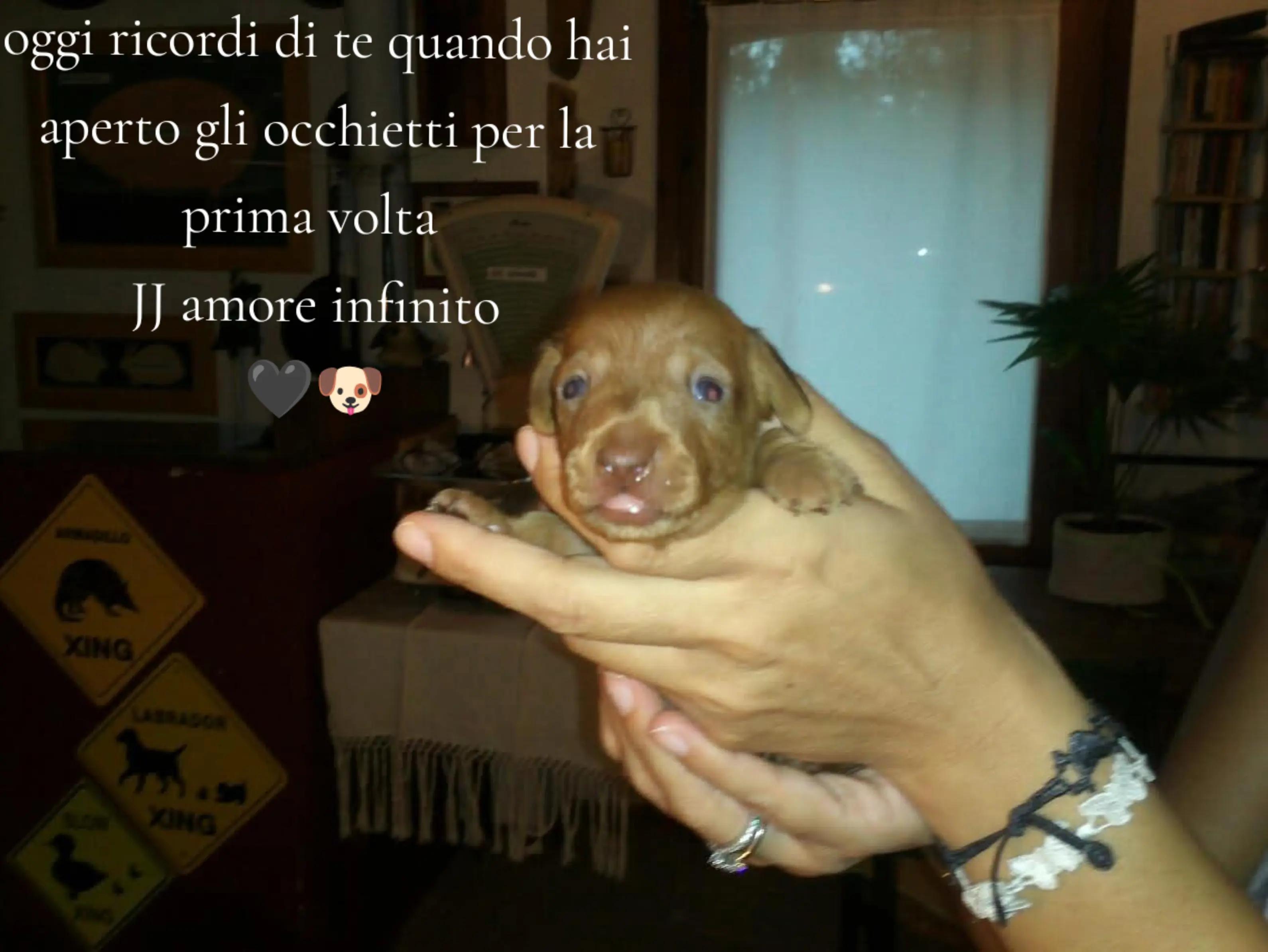 @Marta e Jj